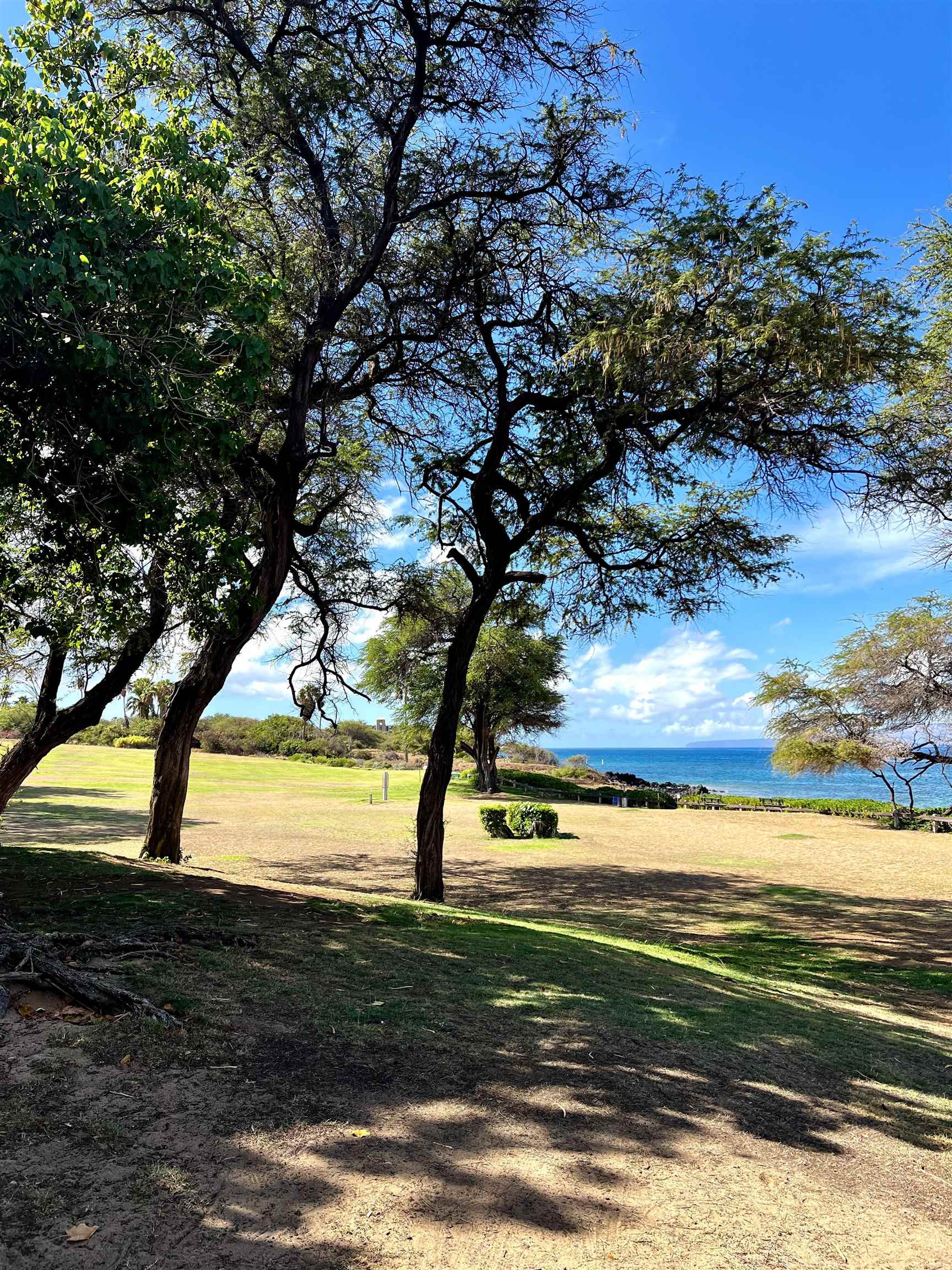 Kihei Shores condo # B101, Kihei, Hawaii - photo 35 of 38