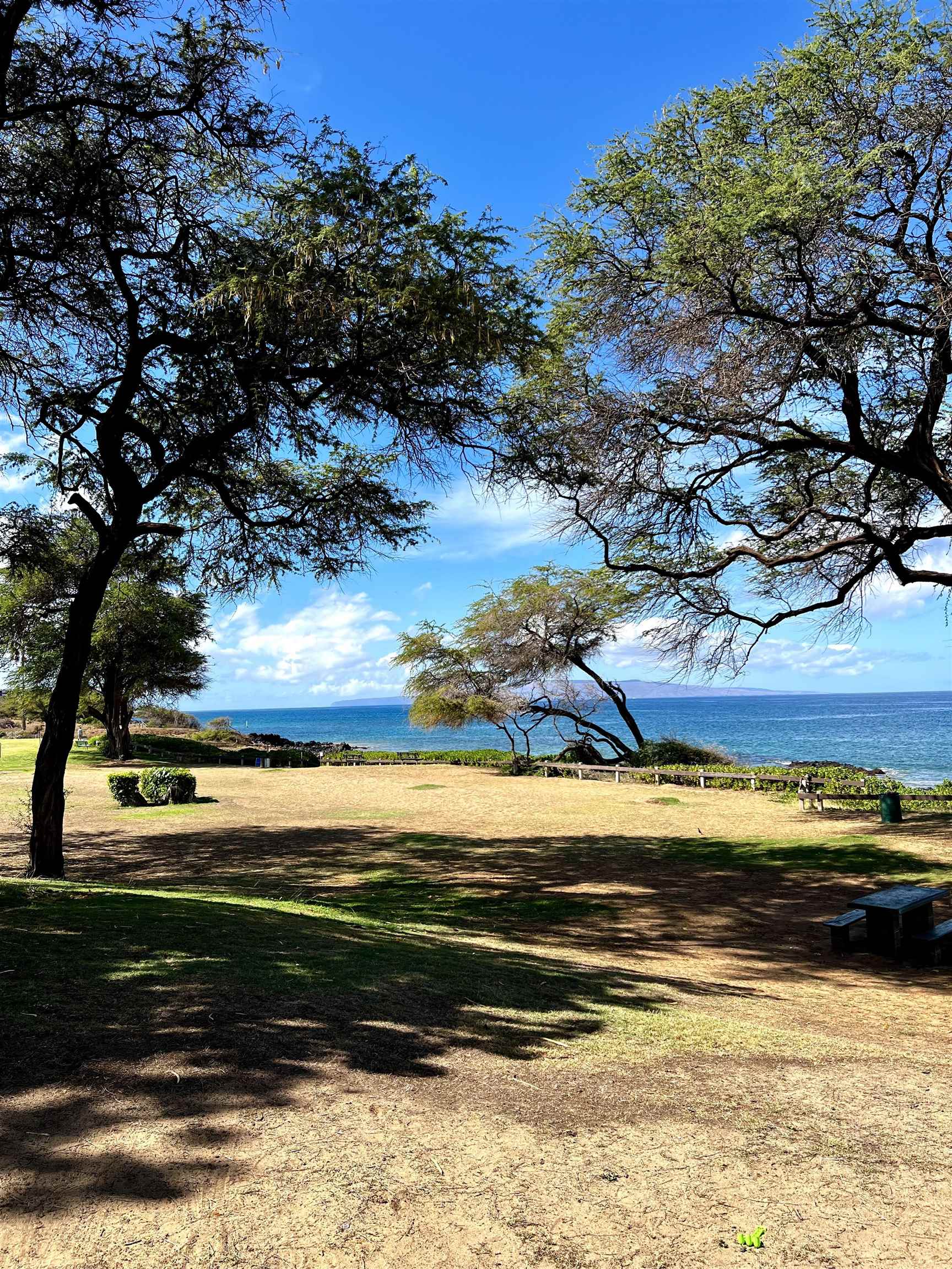 Kihei Shores condo # B101, Kihei, Hawaii - photo 36 of 38
