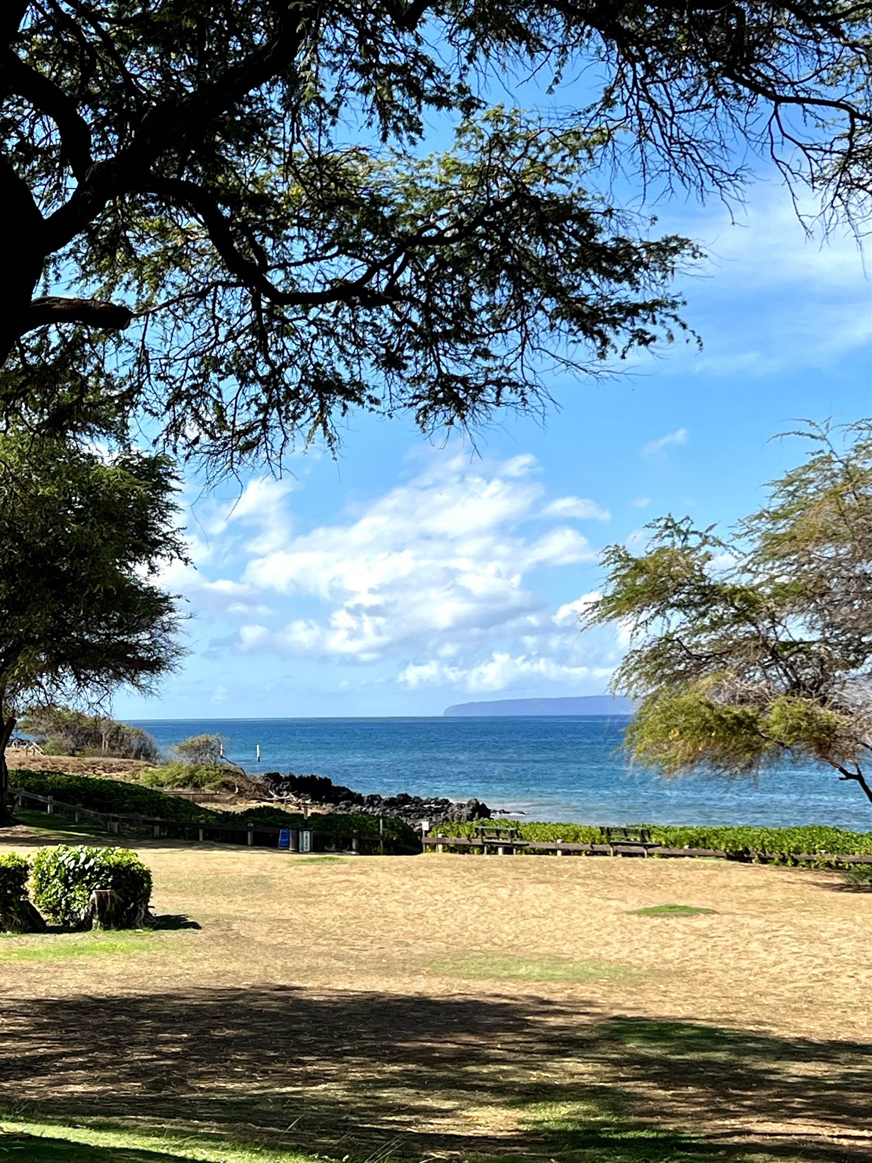 Kihei Shores condo # B101, Kihei, Hawaii - photo 37 of 38