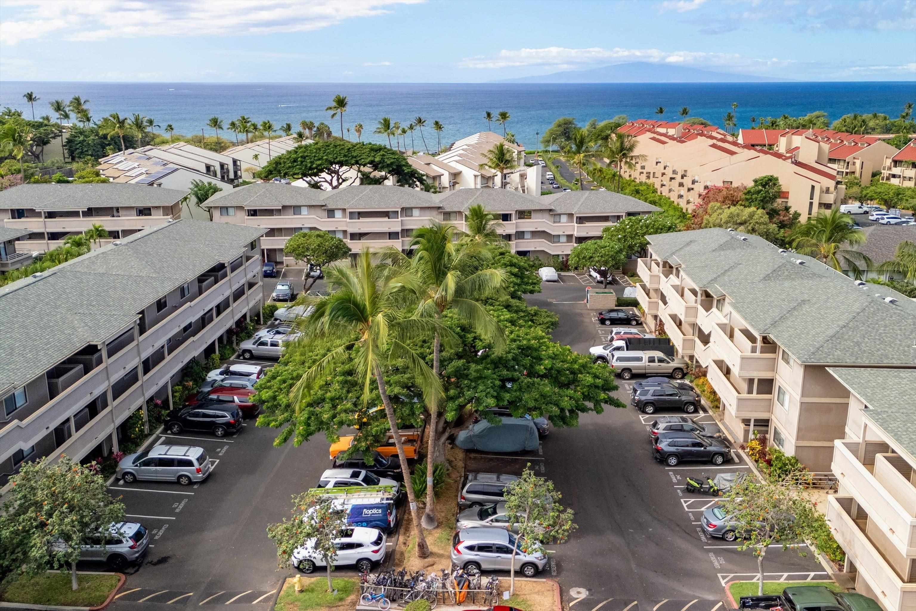 Kihei Shores condo # B203, Kihei, Hawaii - photo 37 of 44