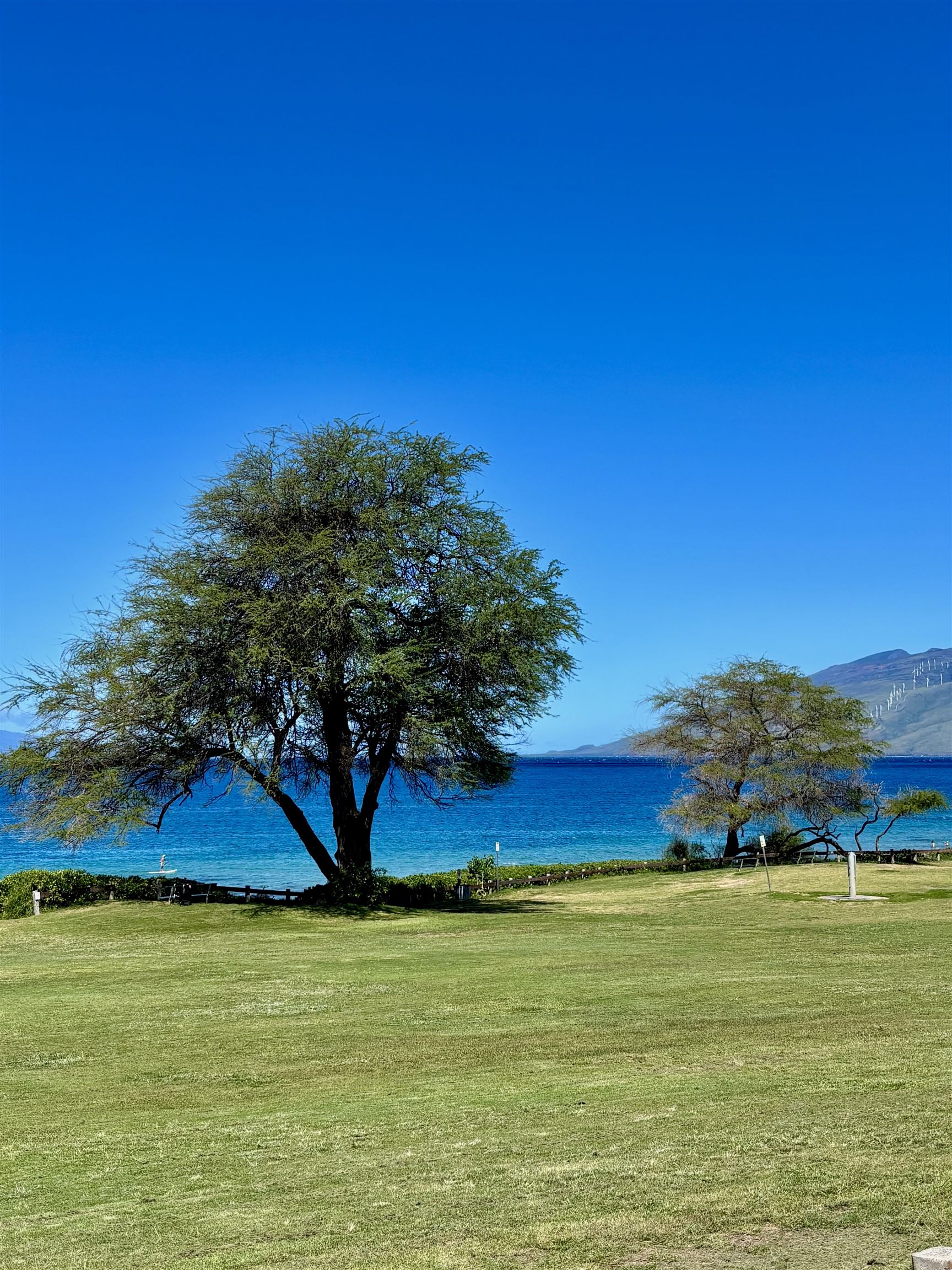 Kihei Shores condo # B-306, Kihei, Hawaii - photo 6 of 19