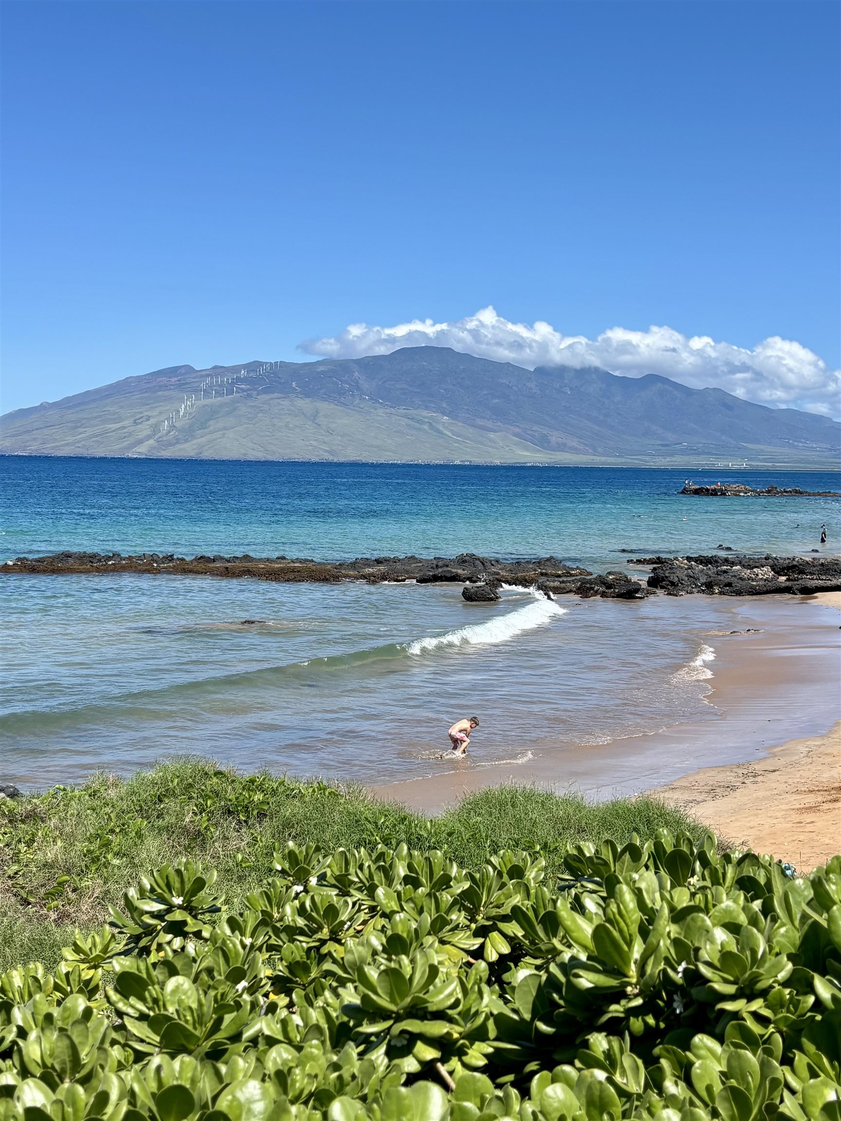 Kihei Shores condo # B-306, Kihei, Hawaii - photo 6 of 19