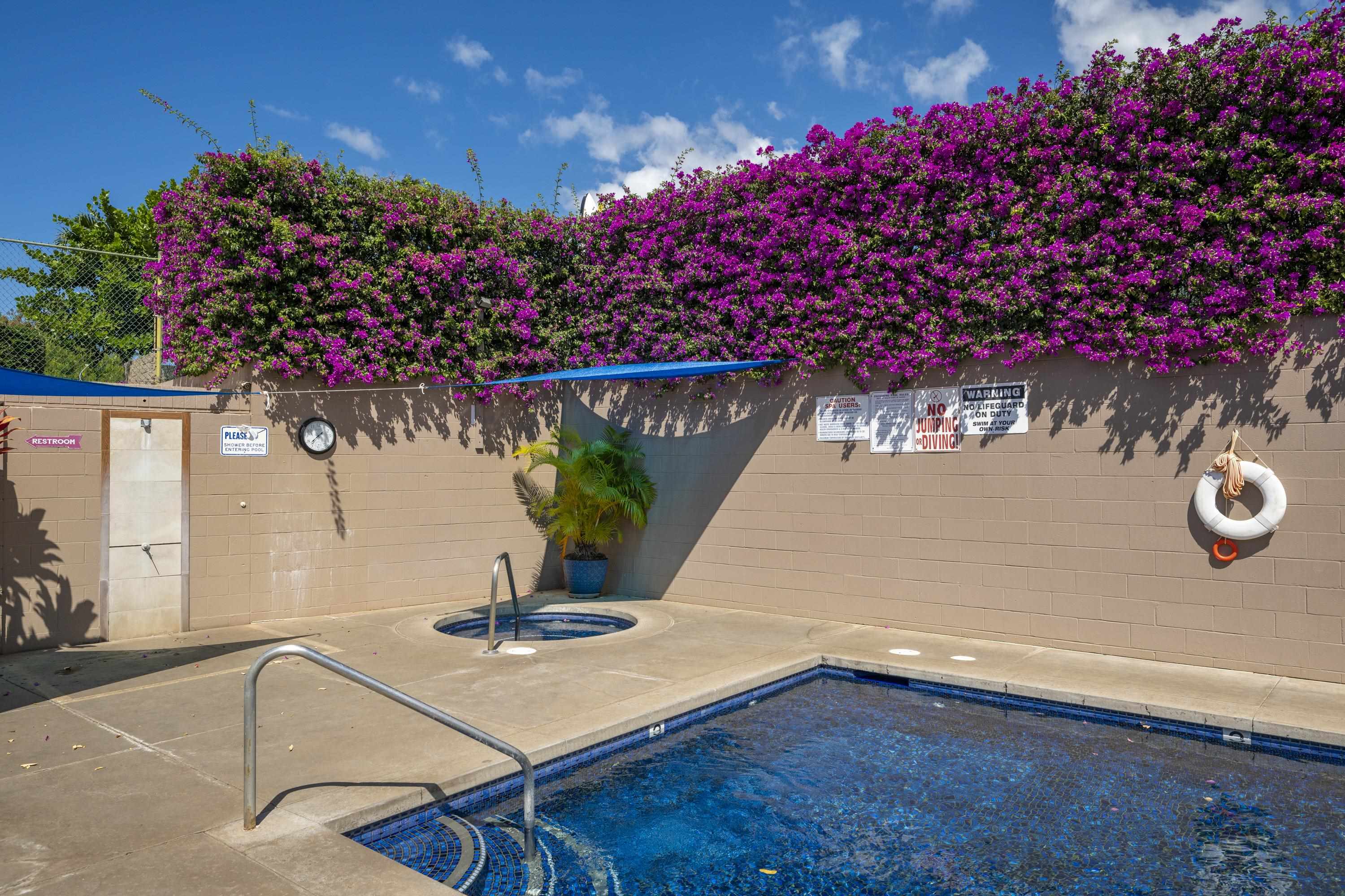 Kihei Shores condo # C003, Kihei, Hawaii - photo 27 of 29