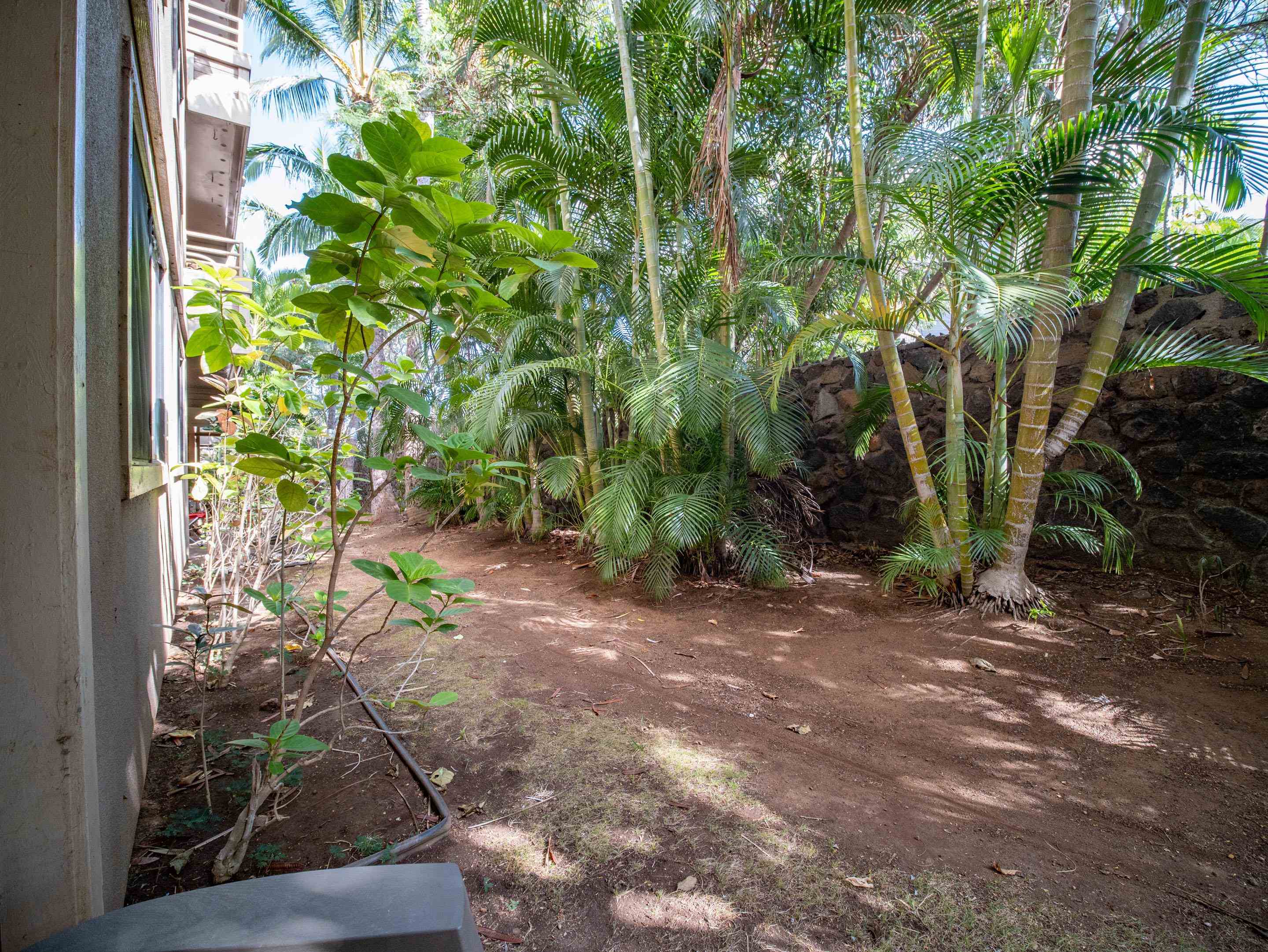 Kihei Shores condo # C004, Kihei, Hawaii - photo 14 of 18