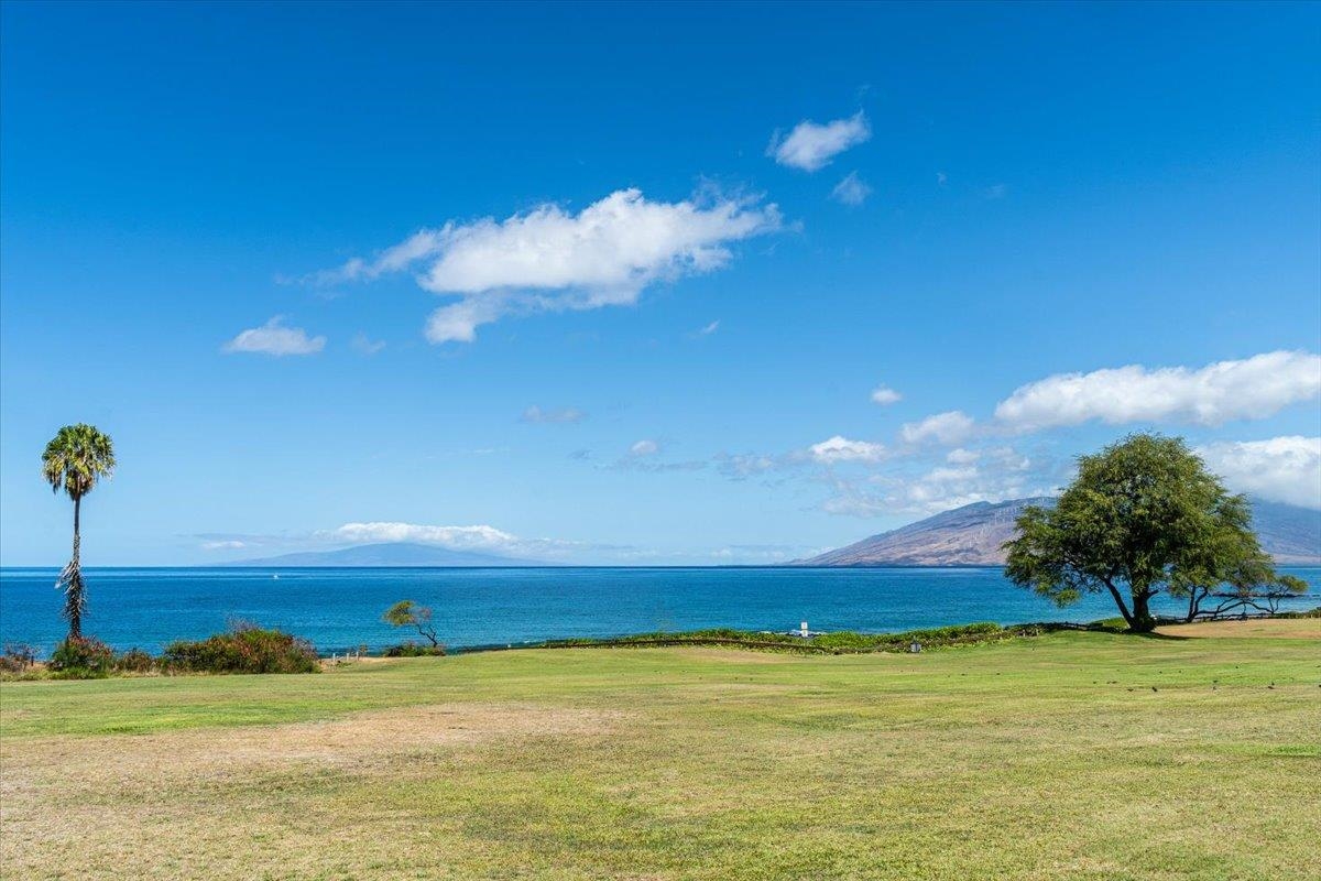 Kihei Shores condo # C201, Kihei, Hawaii - photo 36 of 40