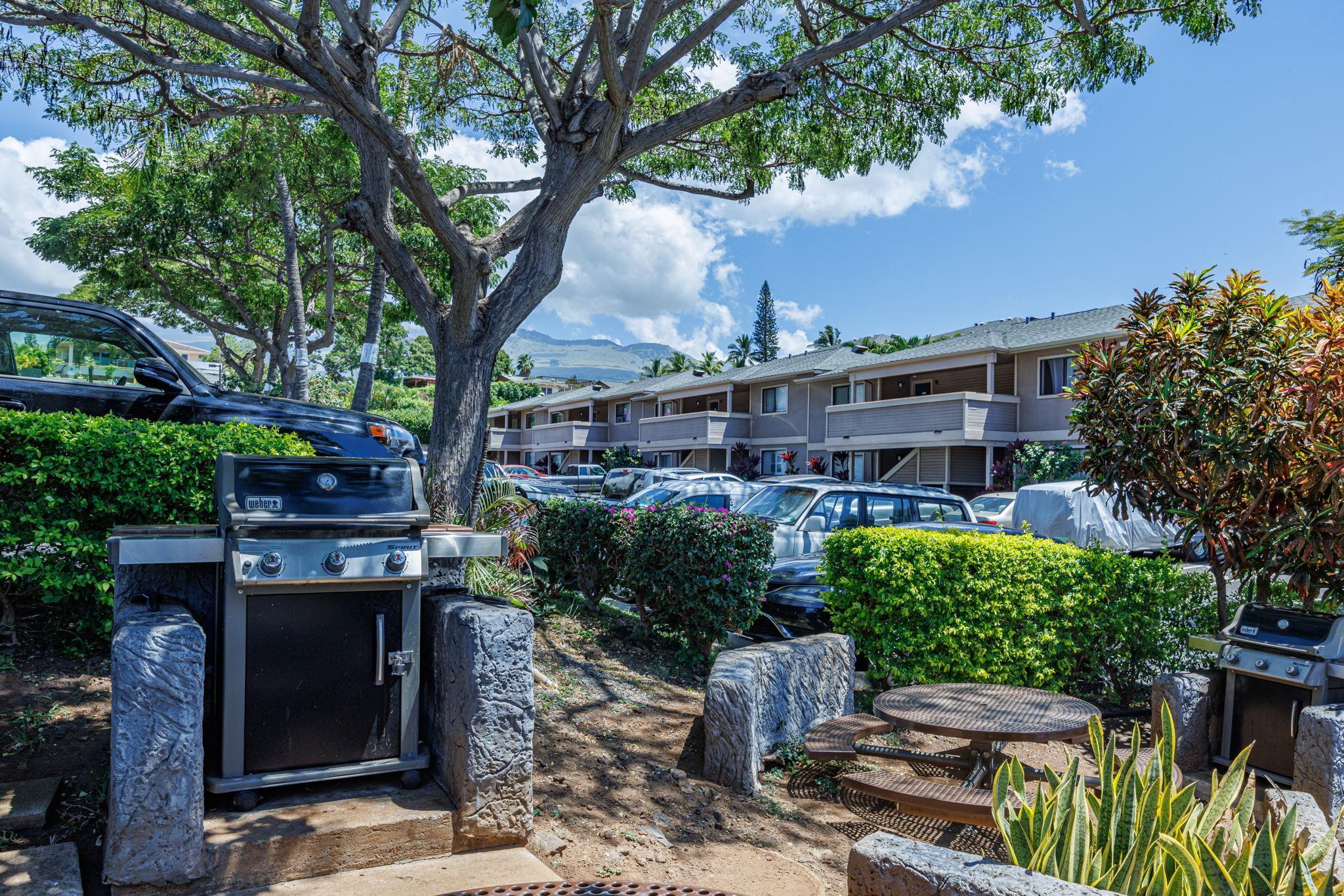 Kihei Shores condo # D-102, Kihei, Hawaii - photo 34 of 41