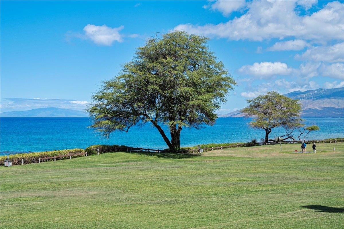 Kihei Shores condo # E204, Kihei, Hawaii - photo 21 of 27