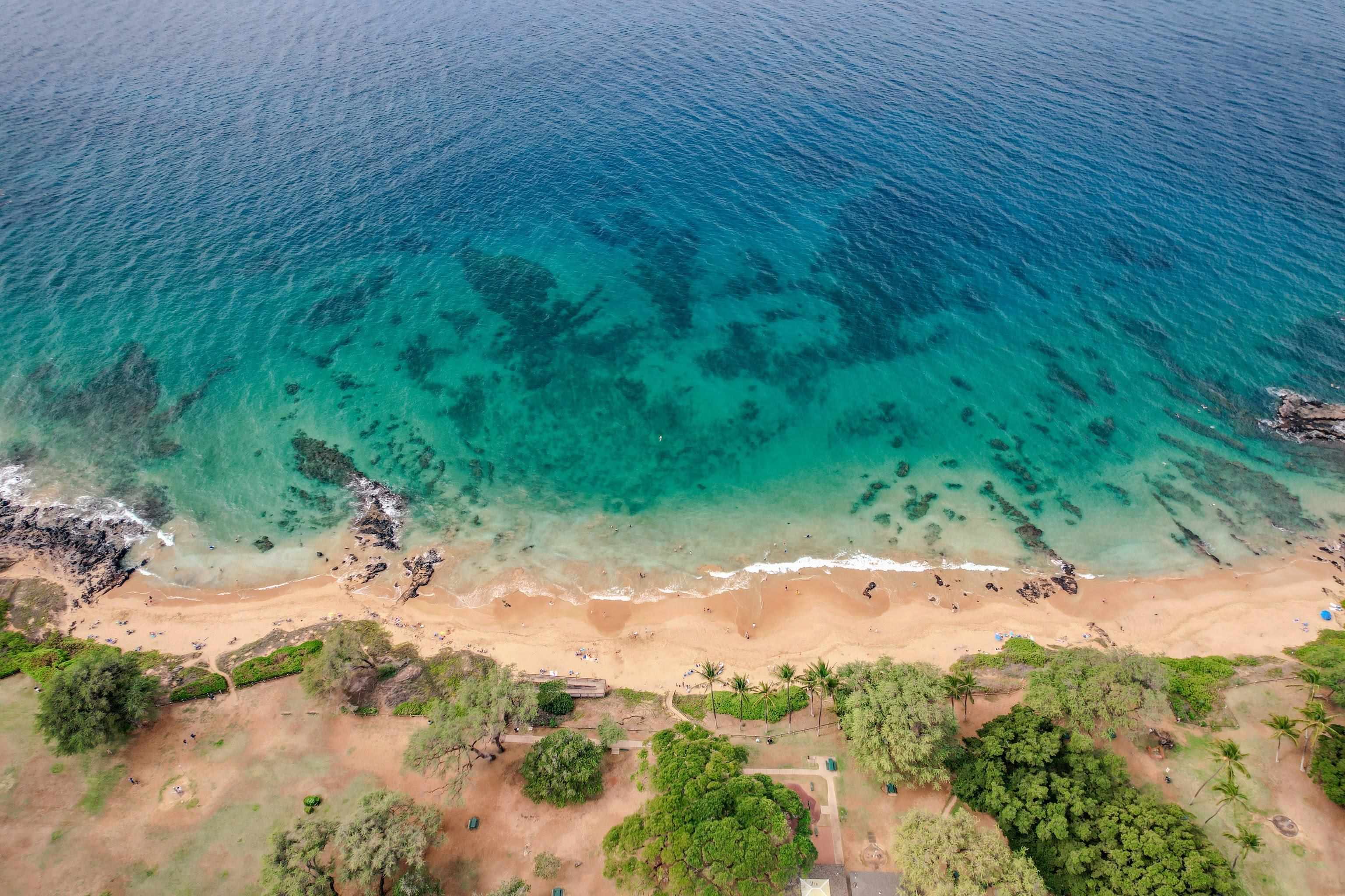 Kihei Shores condo # E308, Kihei, Hawaii - photo 33 of 36