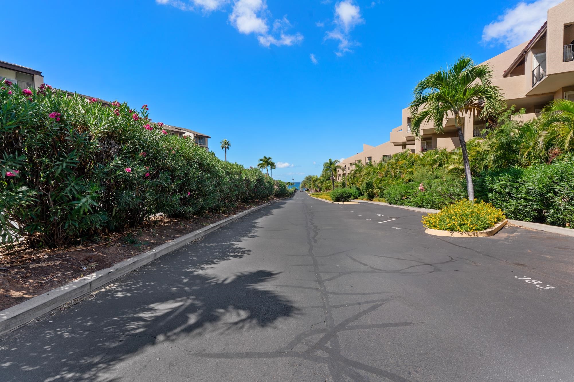 Kihei Shores condo # F-108, Kihei, Hawaii - photo 39 of 45