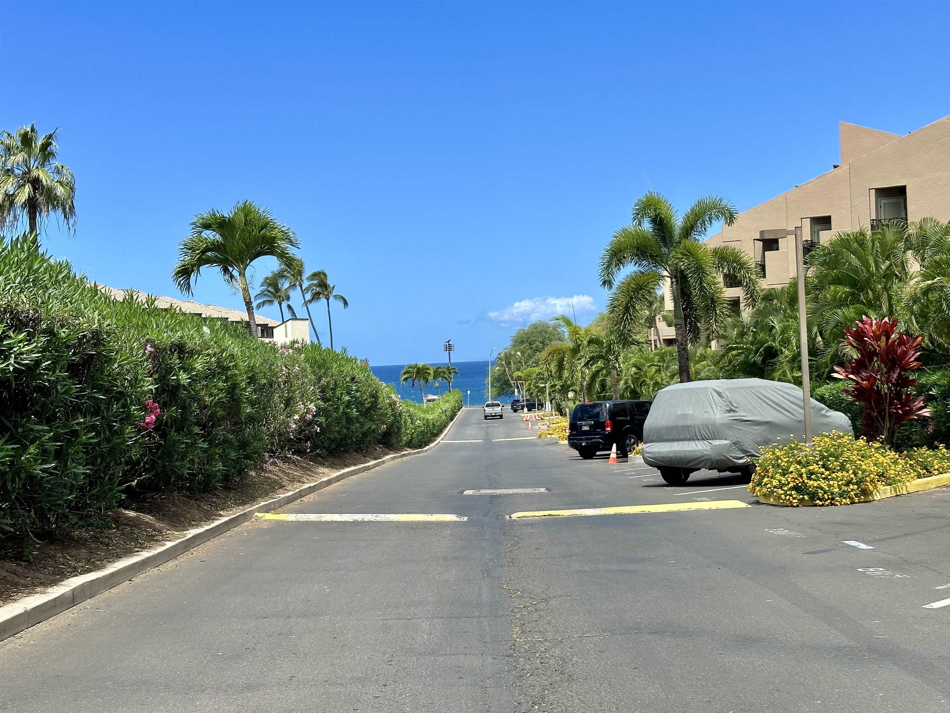 Kihei Shores condo # F202, Kihei, Hawaii - photo 18 of 19