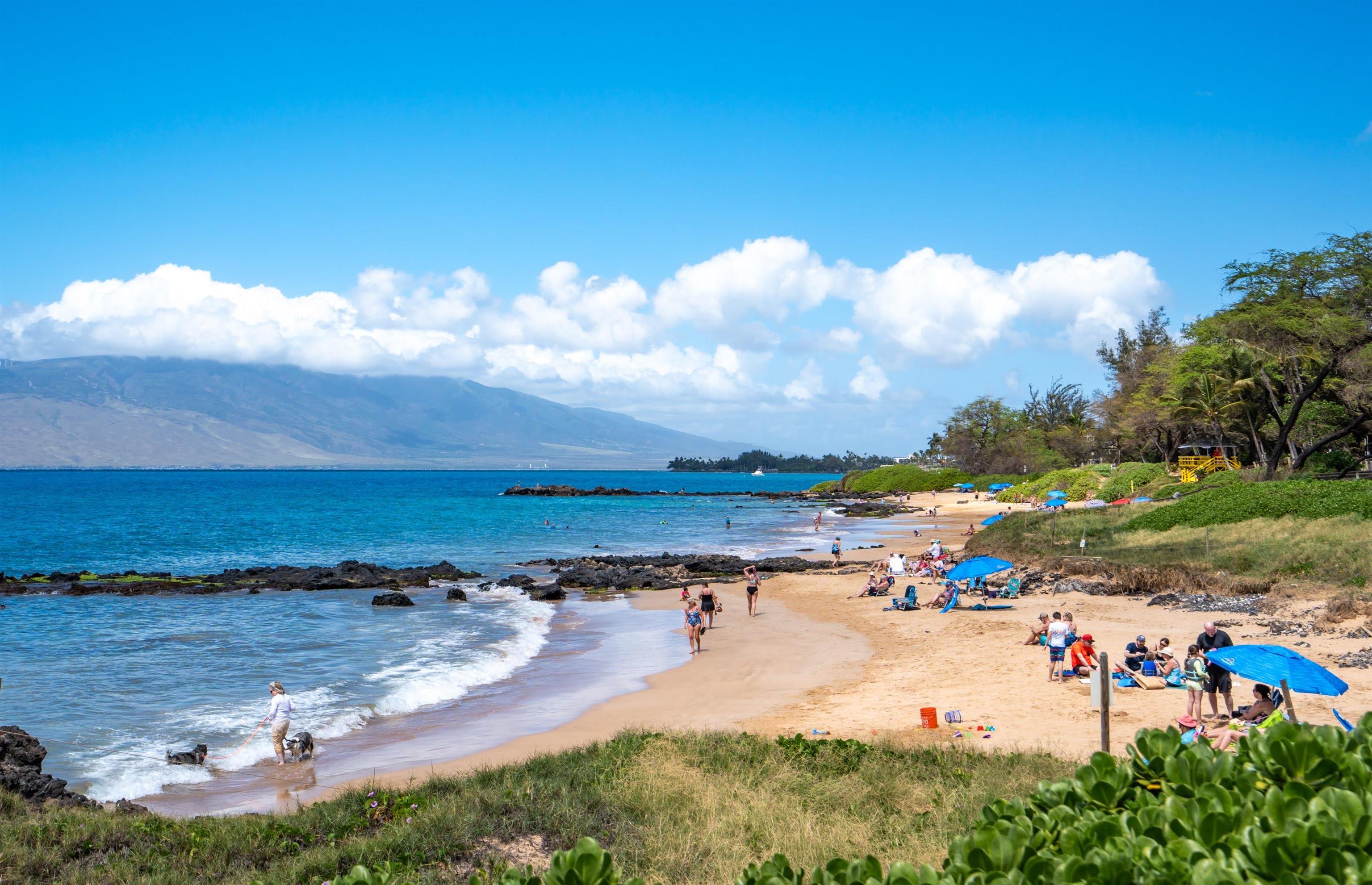 Kihei Shores condo # H-004, Kihei, Hawaii - photo 12 of 43