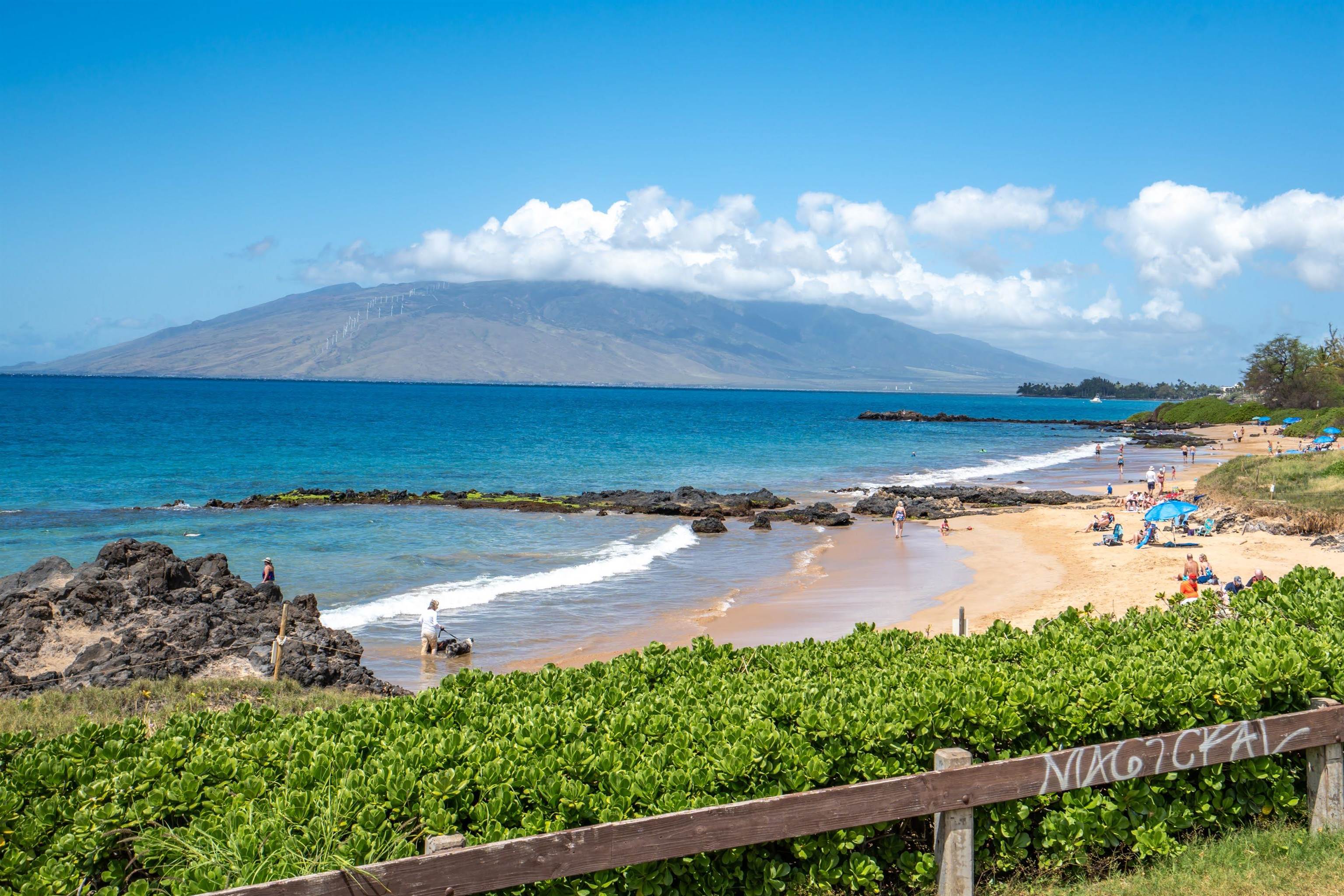 Kihei Shores condo # H-004, Kihei, Hawaii - photo 24 of 43