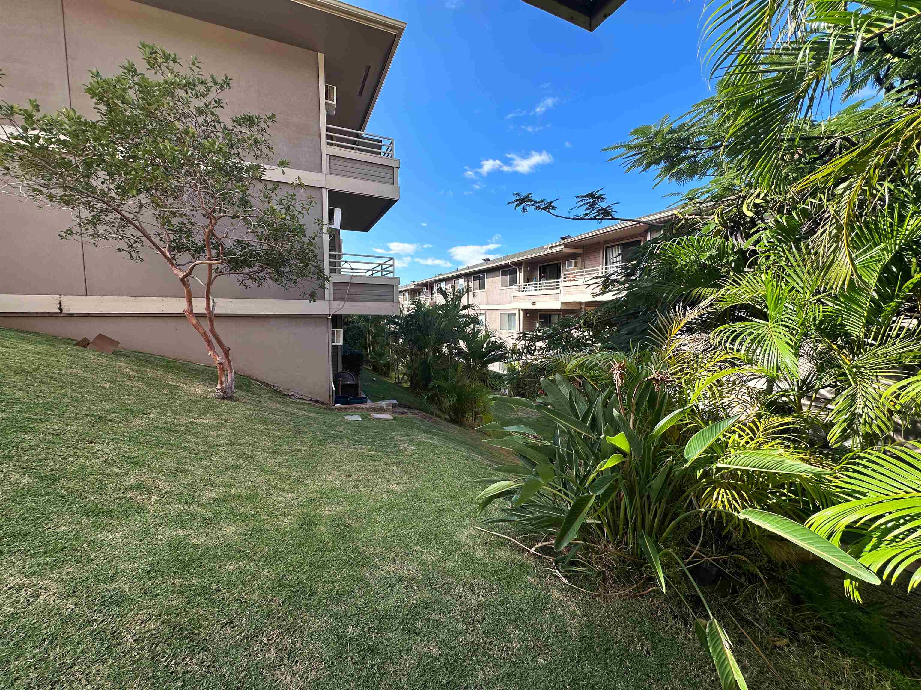 Kihei Shores condo # I-001, Kihei, Hawaii - photo 23 of 26