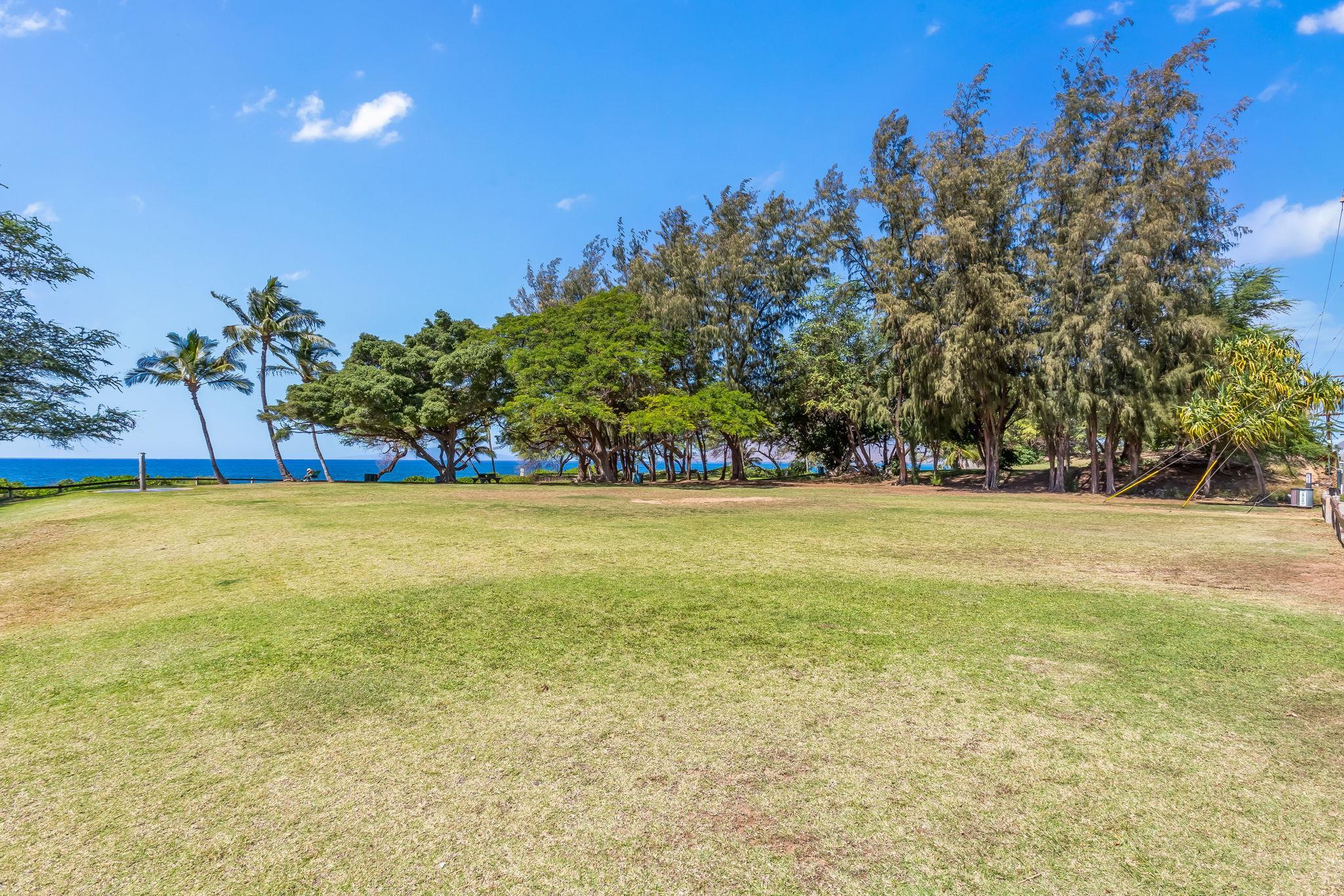 Kihei Shores condo # J206, Kihei, Hawaii - photo 45 of 49