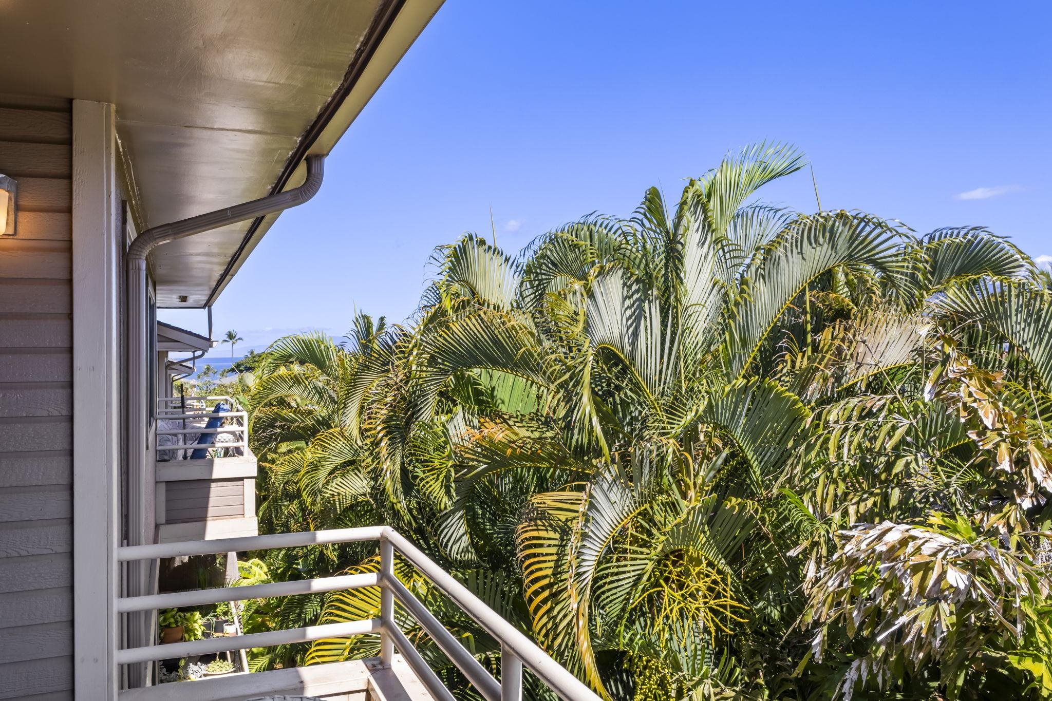 Kihei Shores condo # J206, Kihei, Hawaii - photo 9 of 49