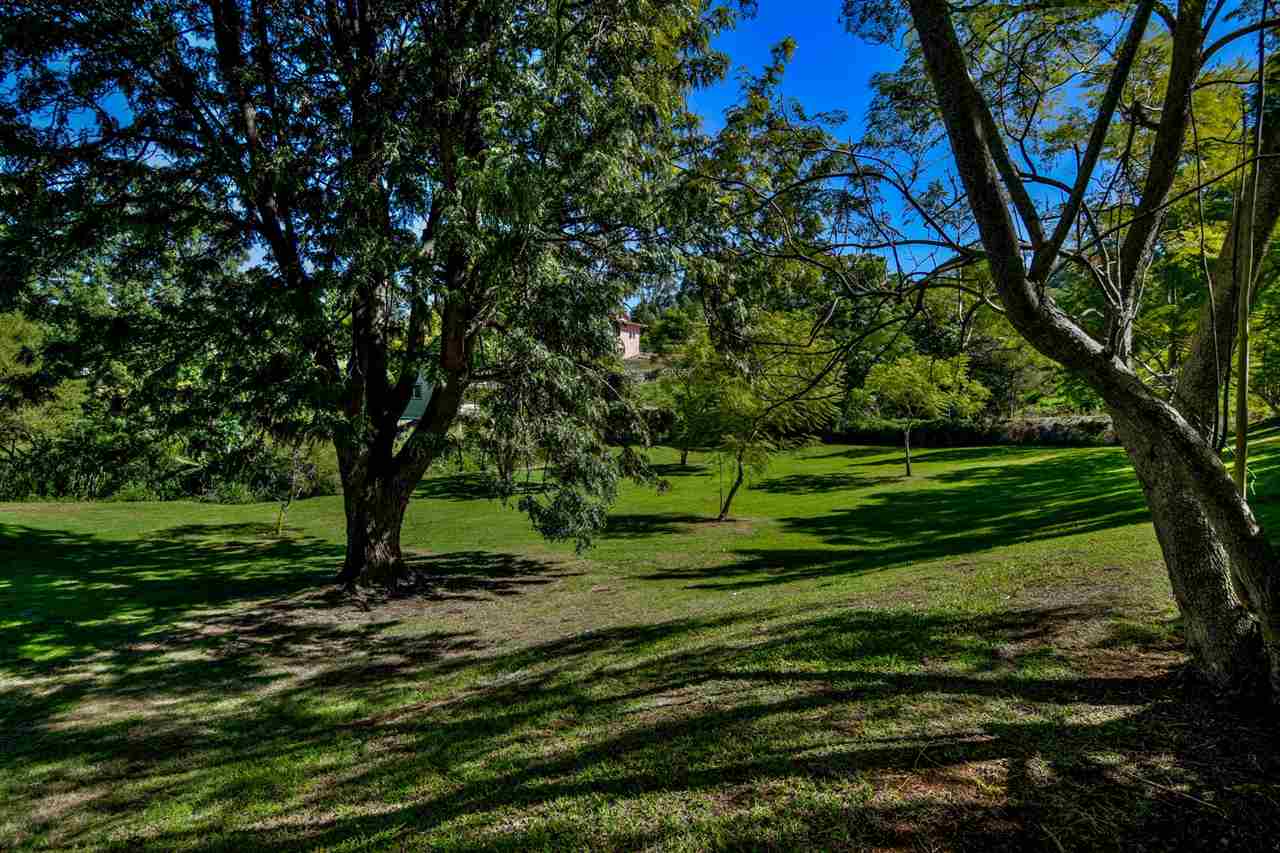 275  Hoopalua Dr Kula 200, Pukalani home - photo 23 of 30