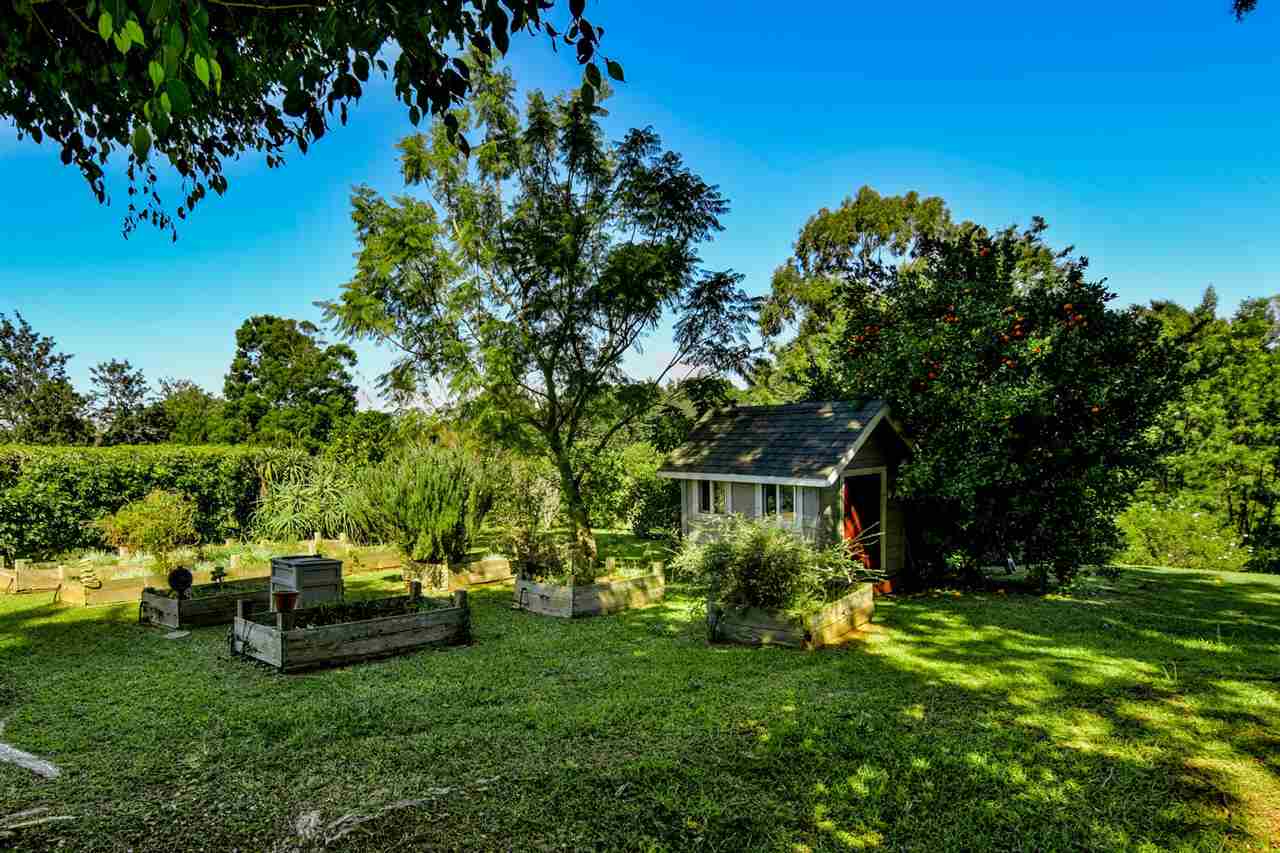 275  Hoopalua Dr Kula 200, Pukalani home - photo 24 of 30