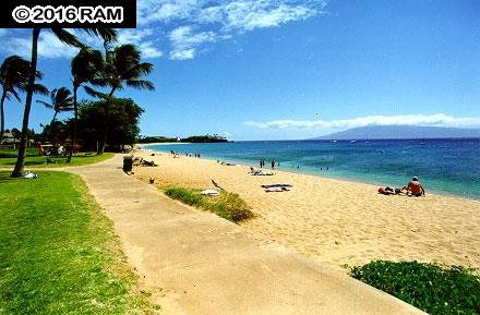 International Colony Club I condo # 29, Lahaina, Hawaii - photo 29 of 30