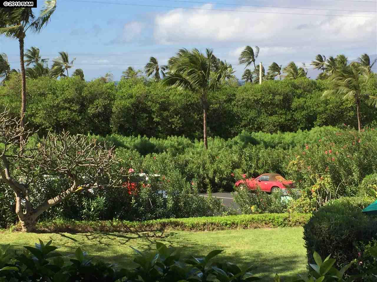 International Colony Club I condo # 31, Lahaina, Hawaii - photo 25 of 25