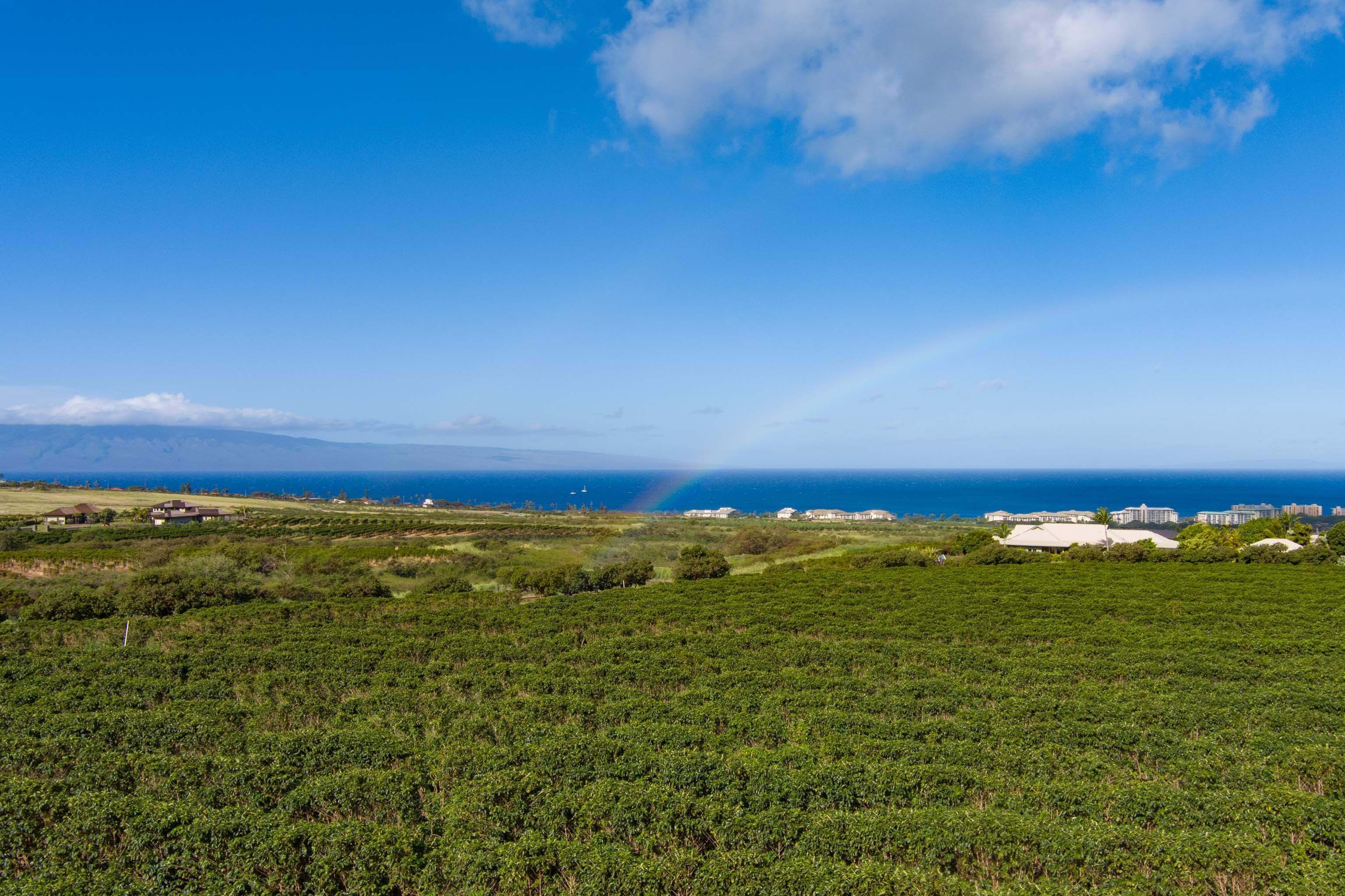 2751 Aina Mahi'ai Rd #33 Lahaina, Hi vacant land for sale - photo 12 of 12
