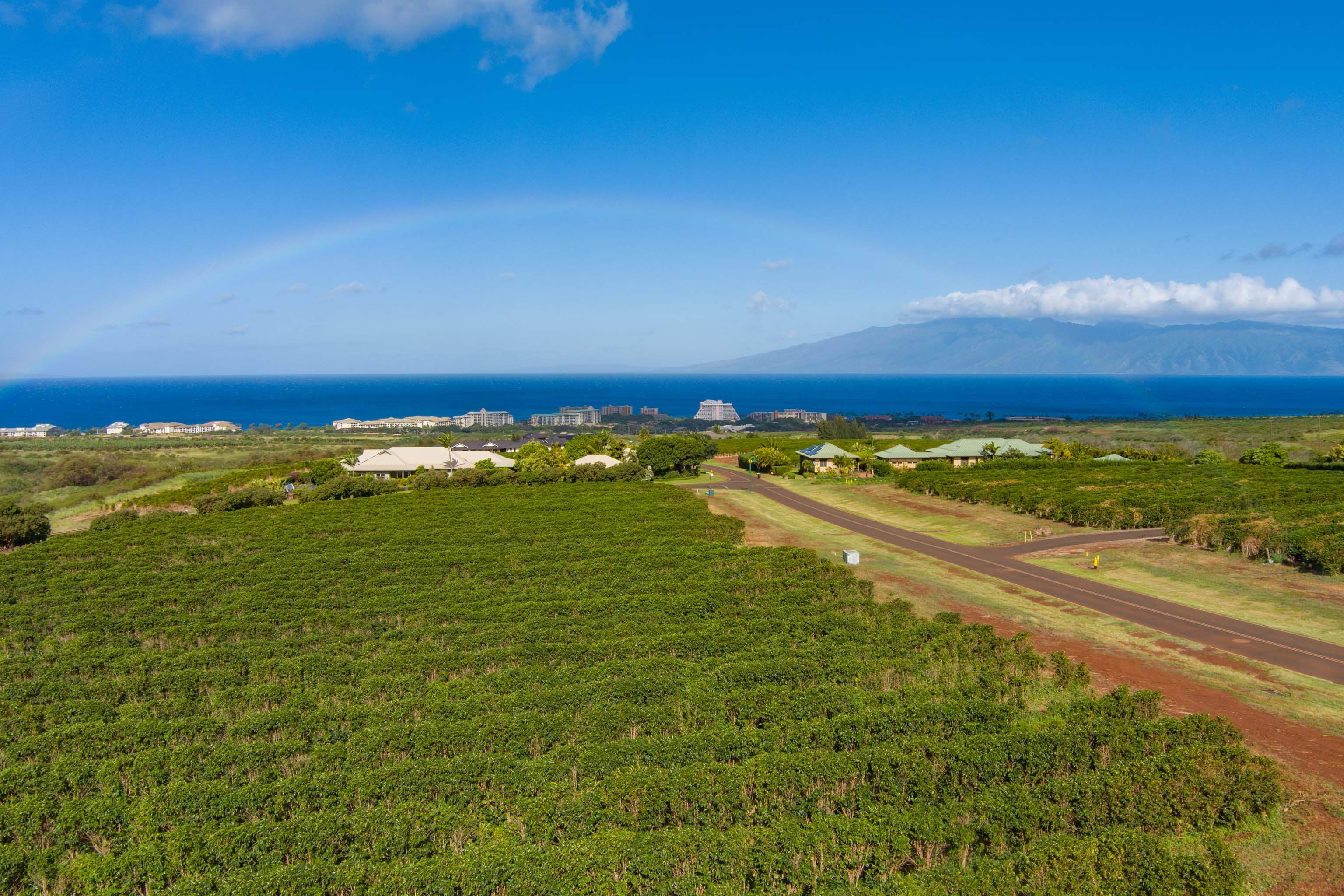 2751 Aina Mahi'ai Rd #33 Lahaina, Hi vacant land for sale - photo 5 of 12