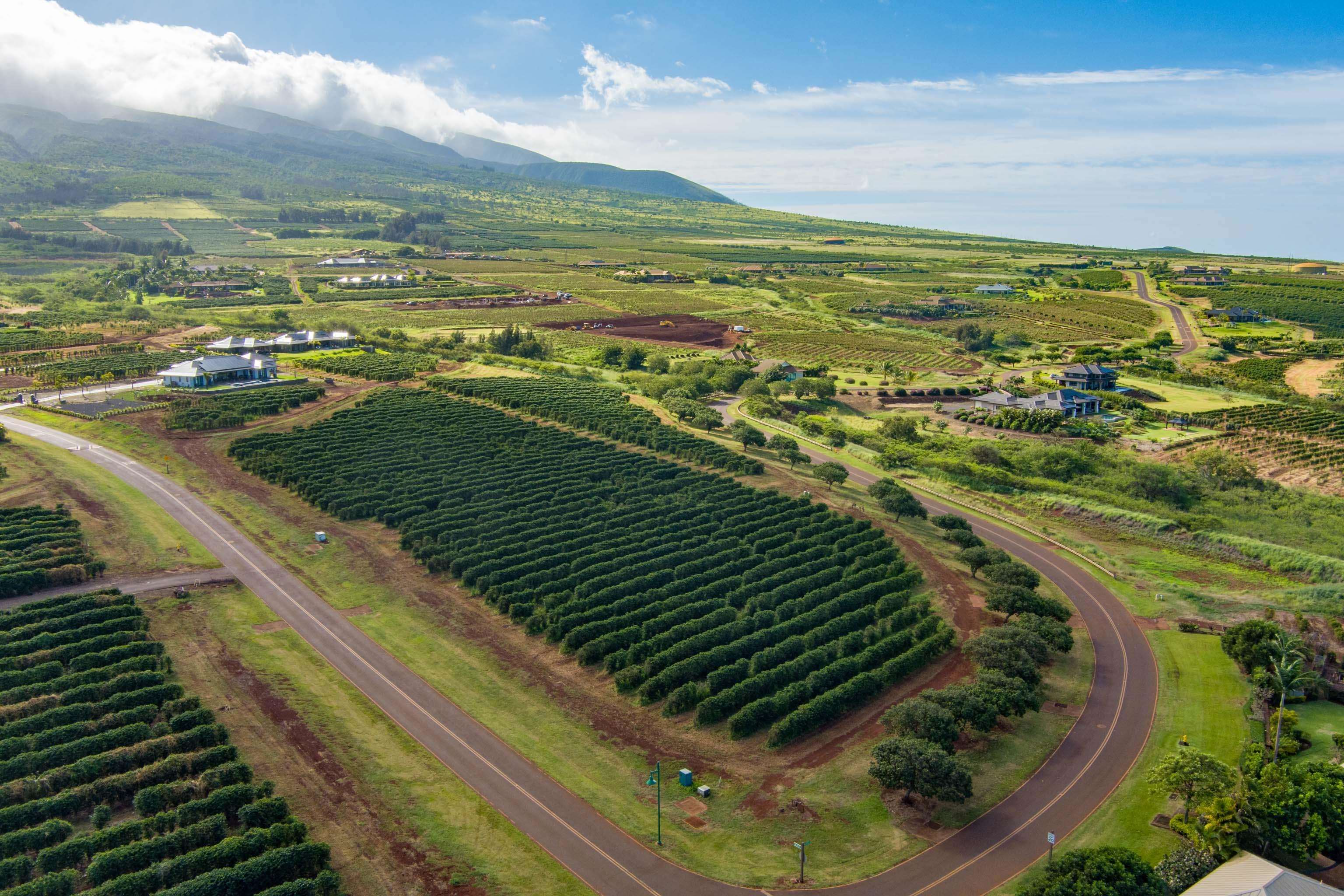 2751 Aina Mahi'ai Rd #33 Lahaina, Hi vacant land for sale - photo 7 of 12