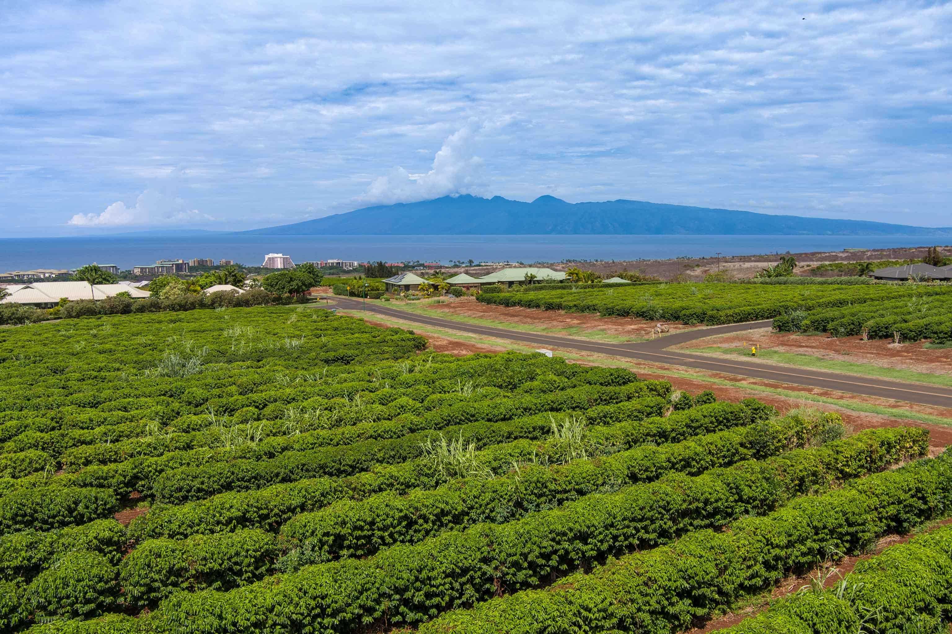 2751 Aina Mahi'ai Rd #33 Lahaina, Hi vacant land for sale - photo 8 of 12