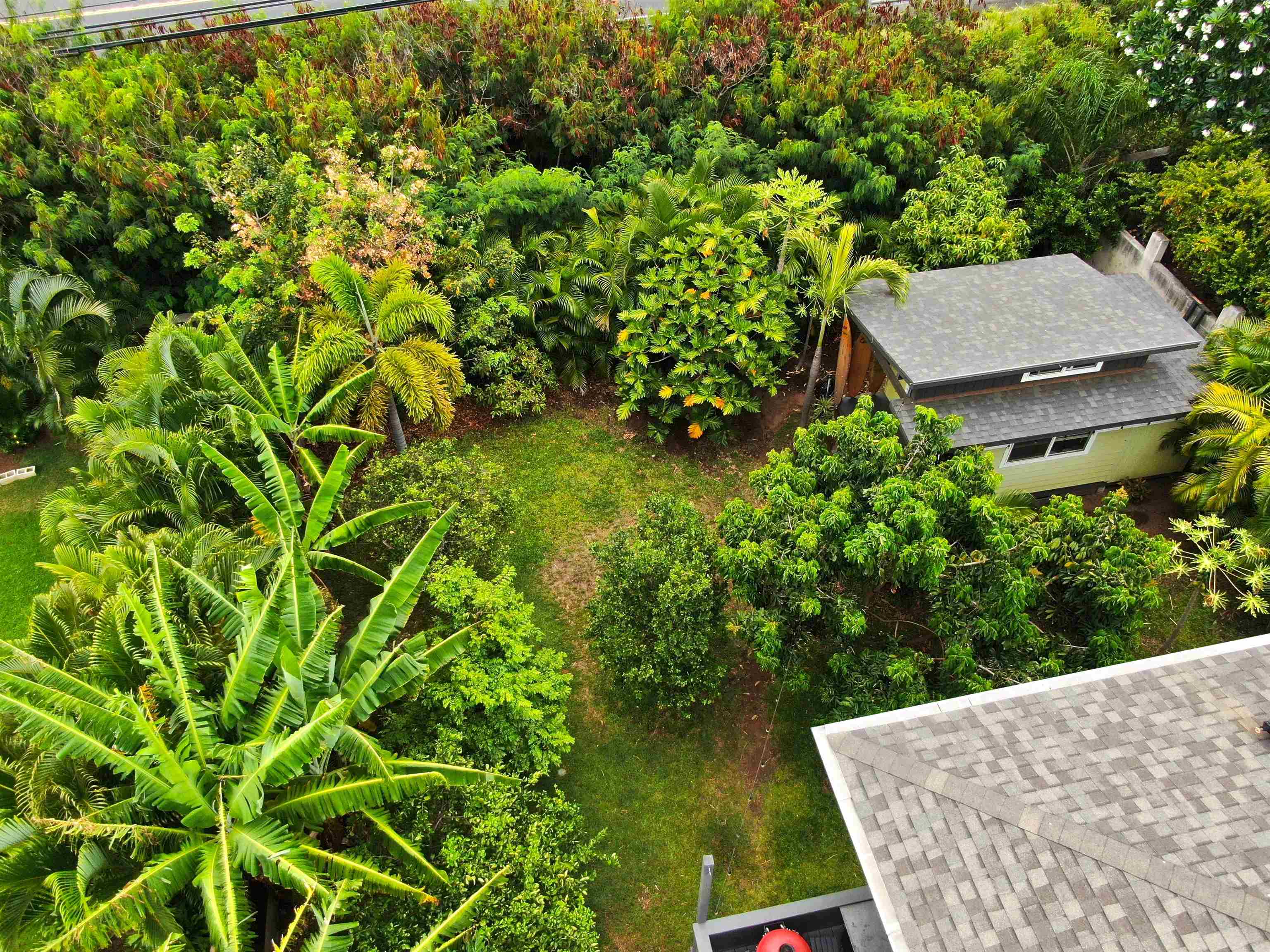 2755  Panepoo St Keonekai Village, Kihei home - photo 50 of 50