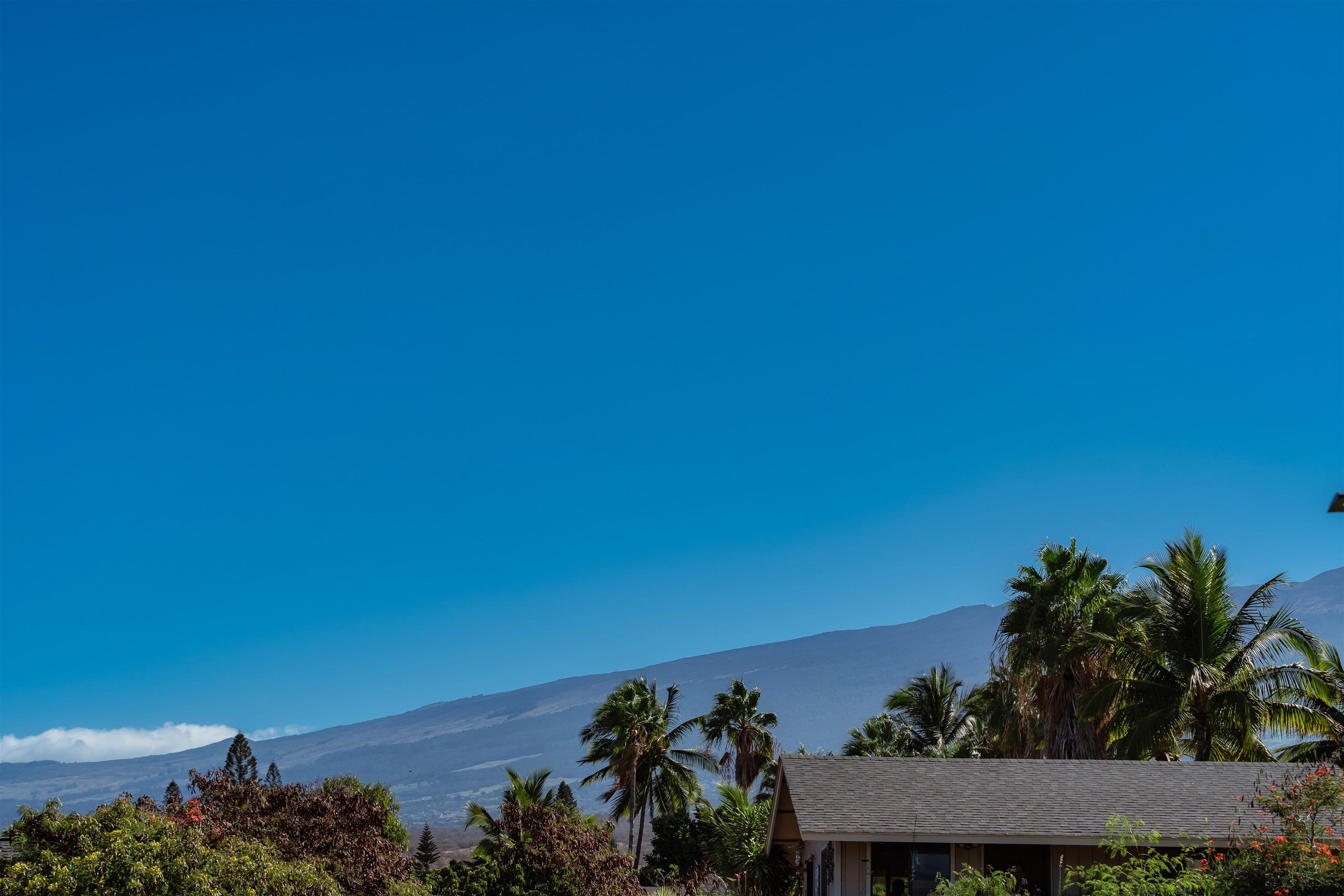 Paradise Ridge Estates condo # 101, Kihei, Hawaii - photo 21 of 27