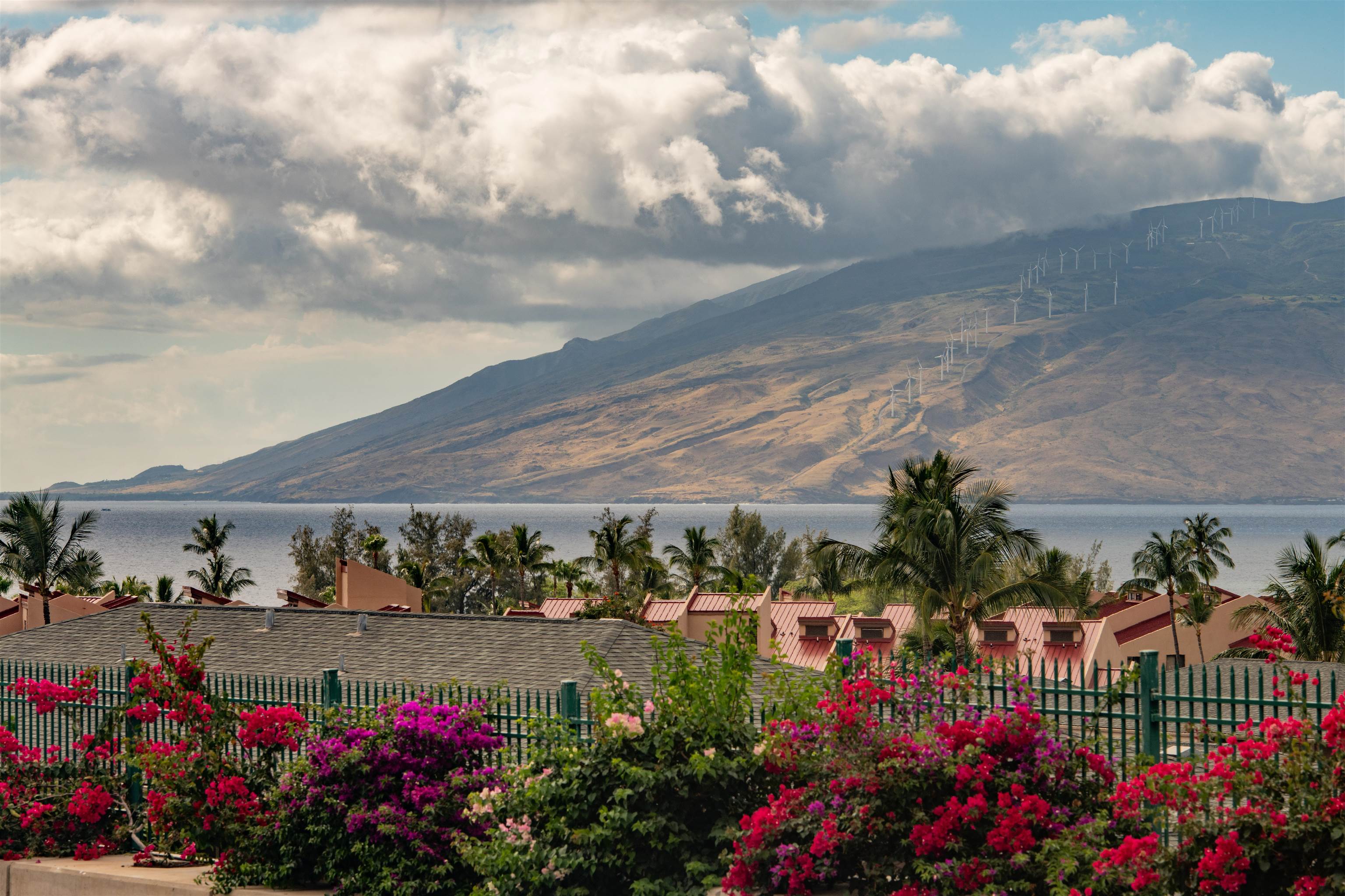 Paradise Ridge Estates condo # 202, Kihei, Hawaii - photo 2 of 48