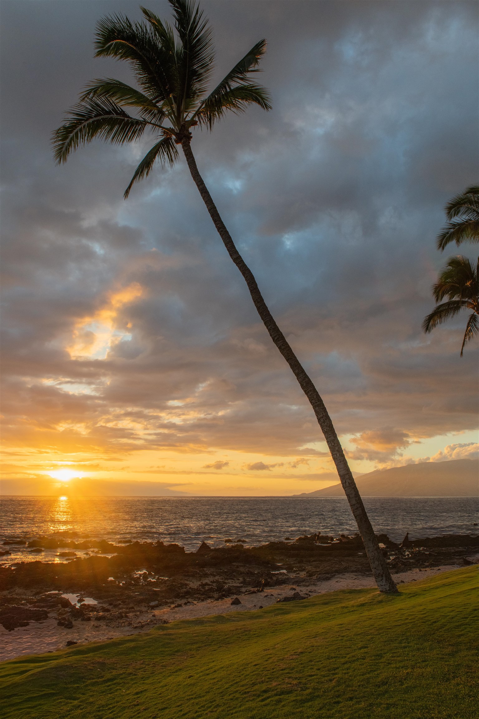 Paradise Ridge Estates condo # 202, Kihei, Hawaii - photo 44 of 48
