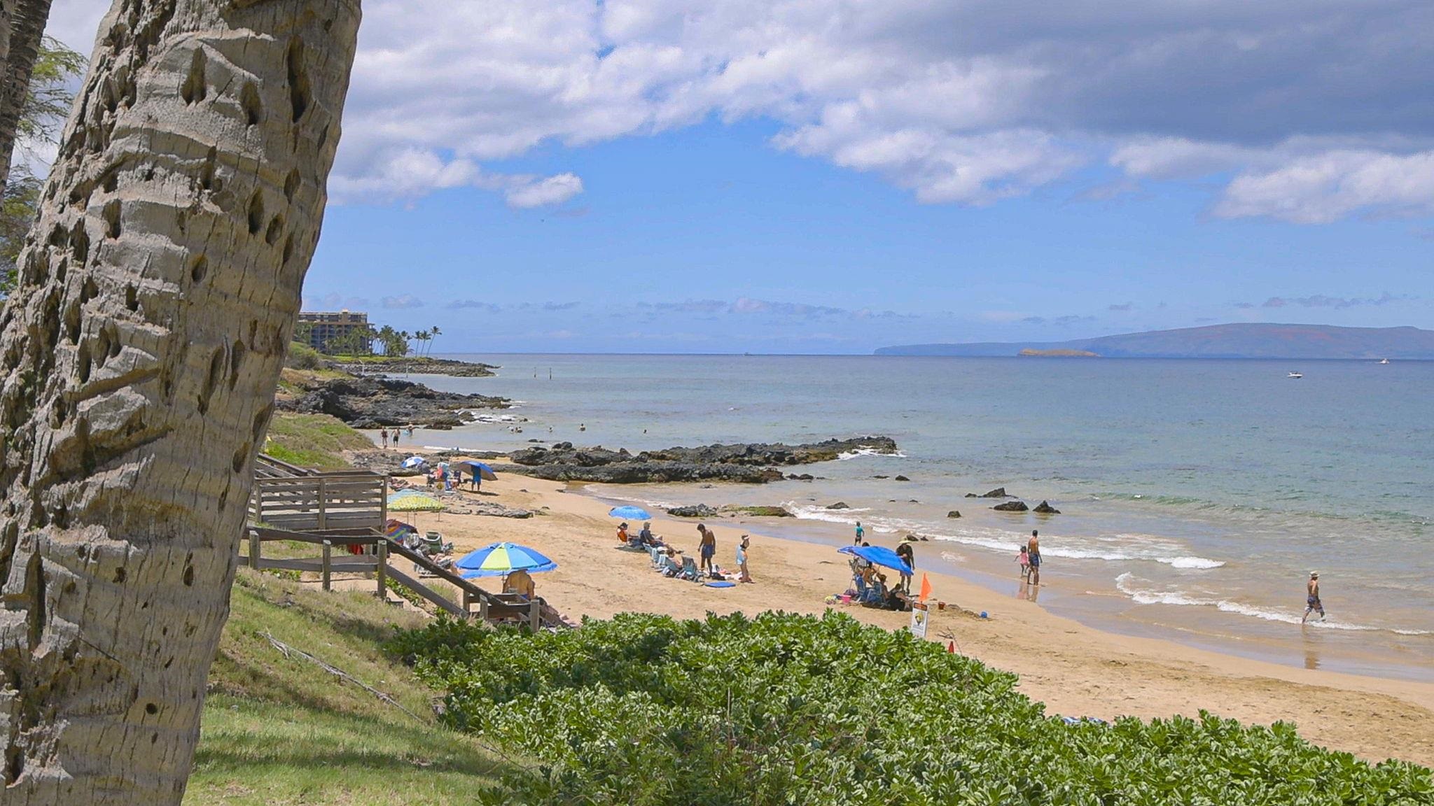 Paradise Ridge Estates condo # 204, Kihei, Hawaii - photo 41 of 44