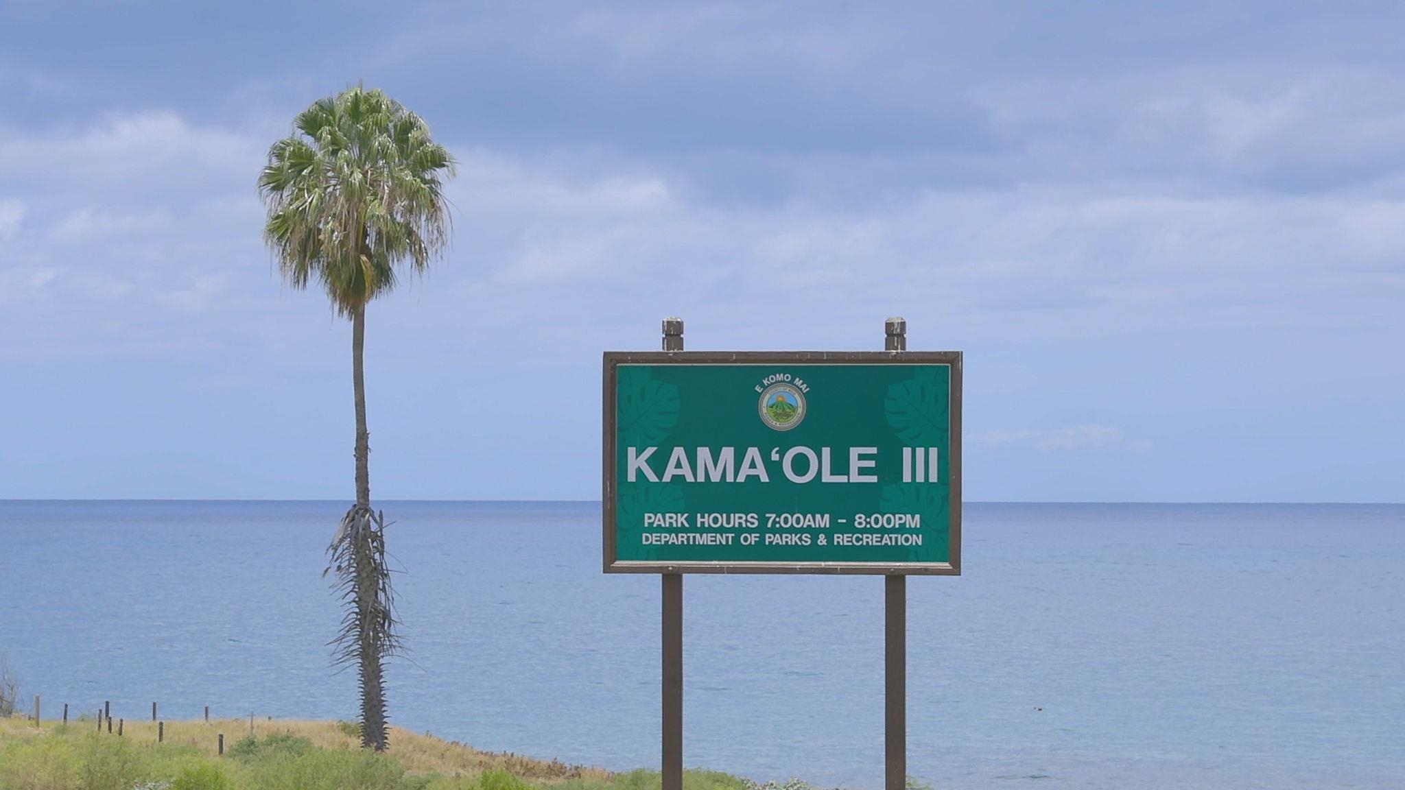 Paradise Ridge Estates condo # 501, Kihei, Hawaii - photo 42 of 47