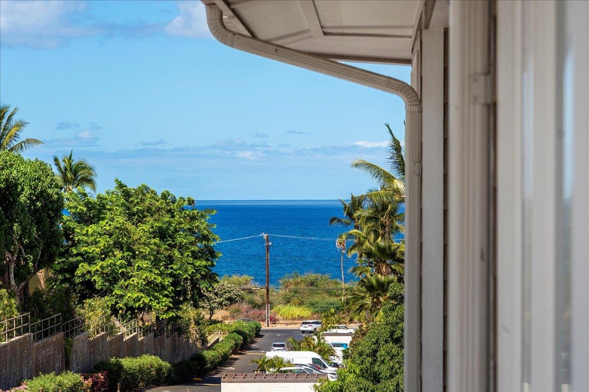 Paradise Ridge Estates condo # 804, Kihei, Hawaii - photo 5 of 47