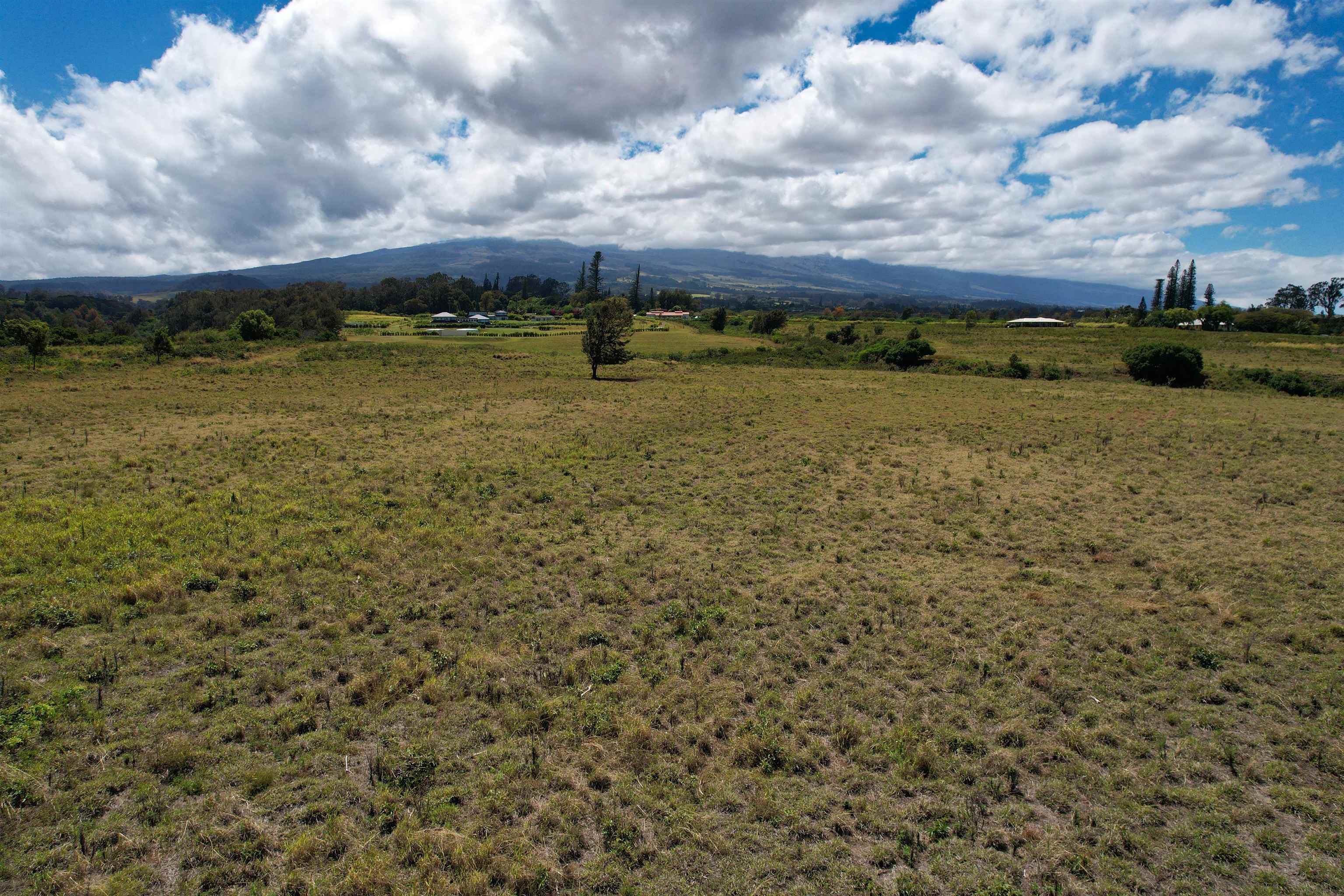 2759 Baldwin Ave 7F Unit A Makawao Haliimaile Land Sold