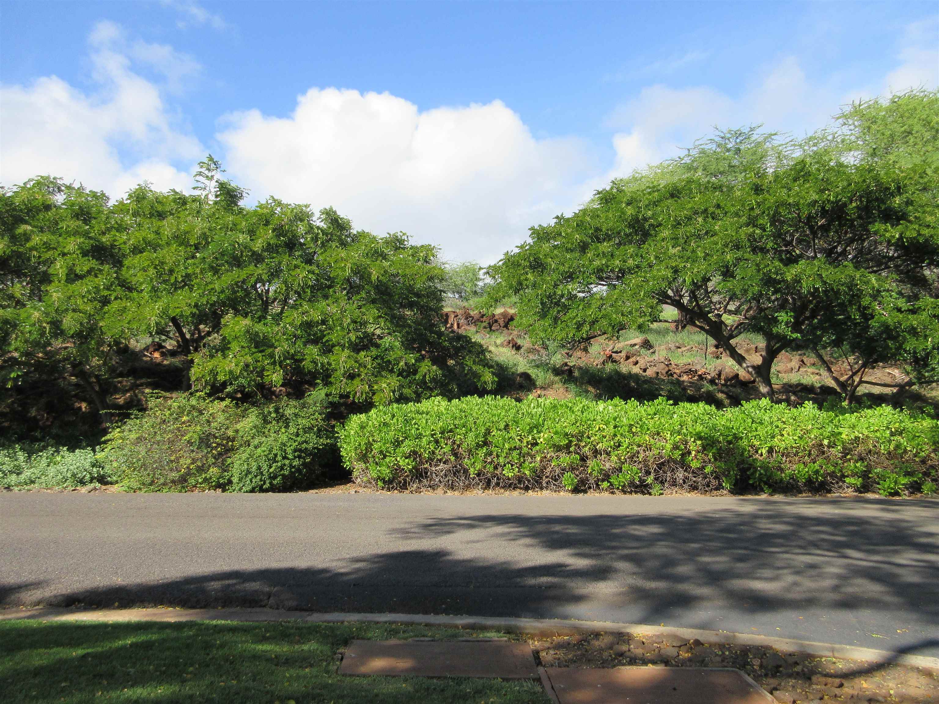 276 Hulopoe Dr  Lanai City, Hi vacant land for sale - photo 6 of 13