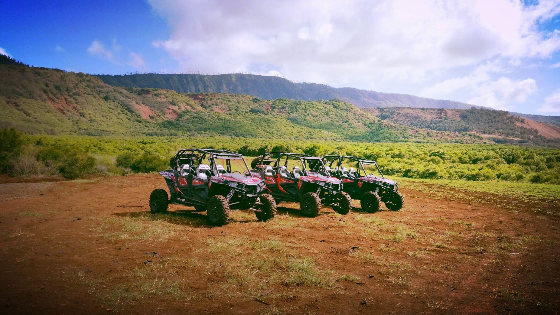 276 Hulopoe Dr  Lanai City, Hi vacant land for sale - photo 20 of 20