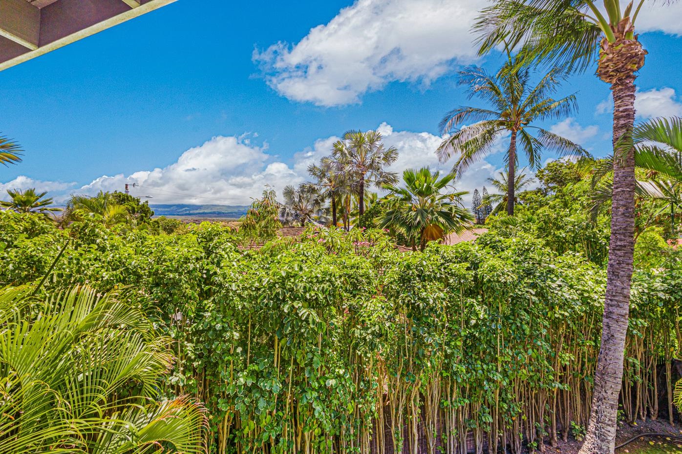 276  Palima Pl Keonekai, Kihei home - photo 34 of 35