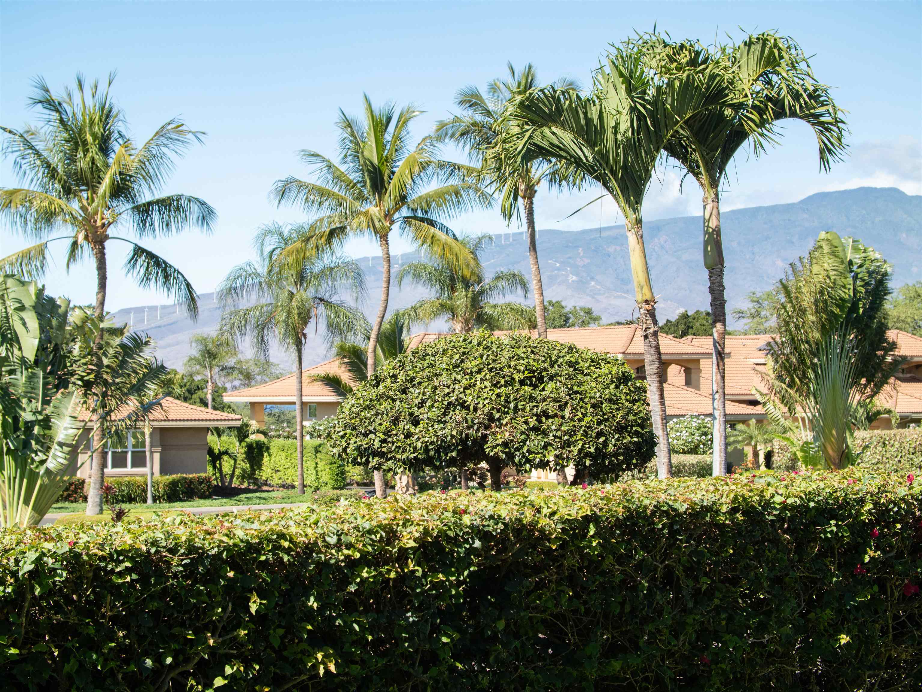 2760  Umeke Cir Naui Nui Golf Course, Kihei home - photo 12 of 50