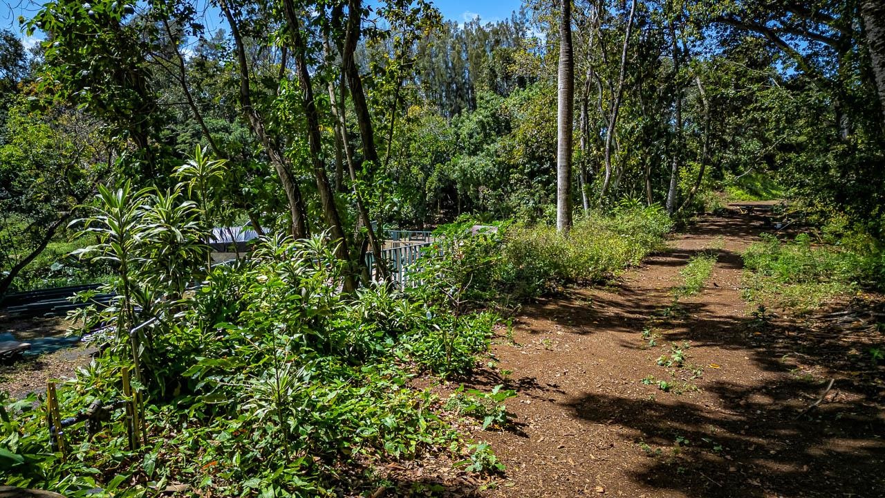 2762 Hana Hwy CPR B Haiku, Hi vacant land for sale - photo 17 of 21