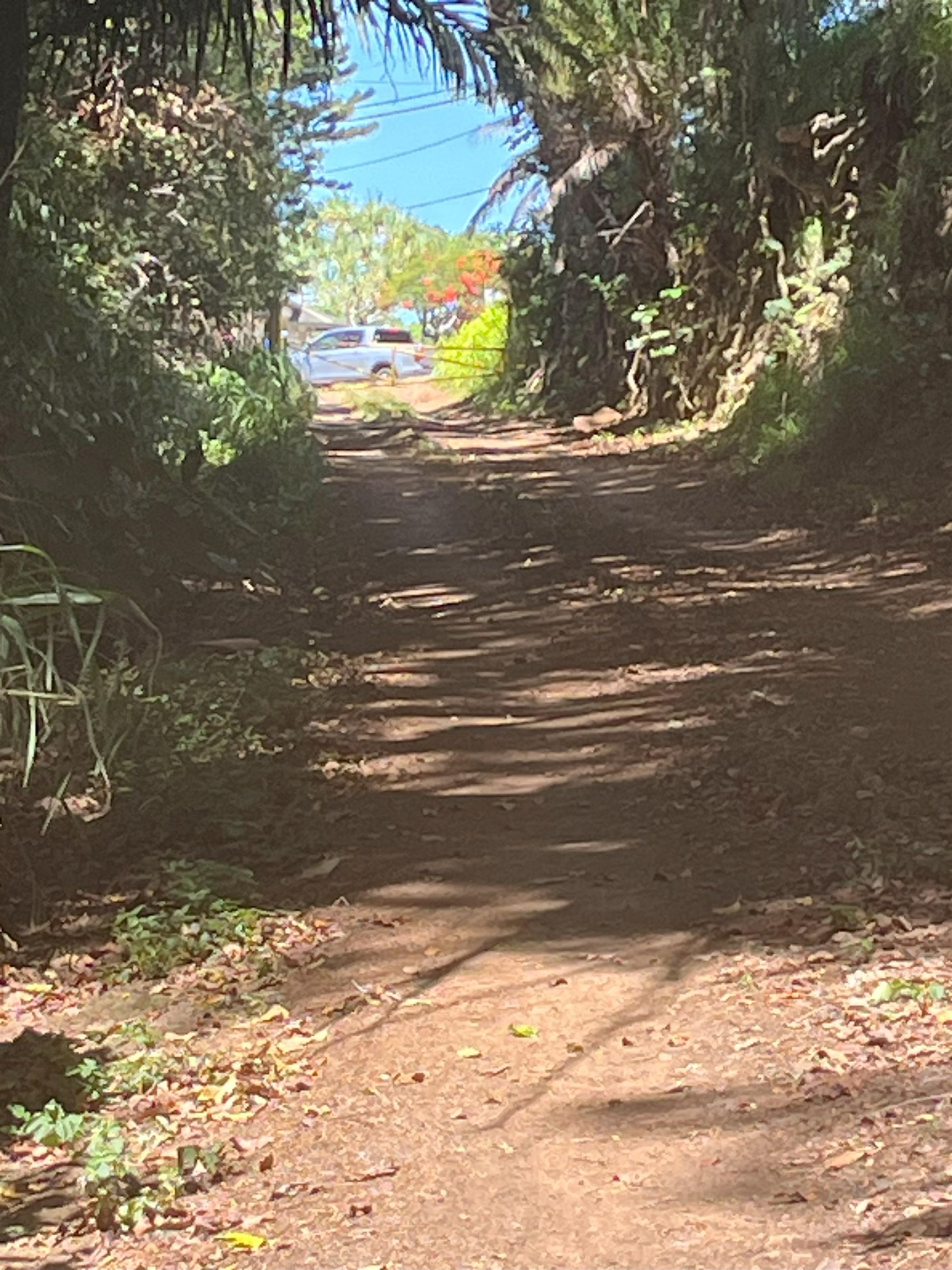 2762 Hana Hwy CPR B Haiku, Hi vacant land for sale - photo 20 of 21