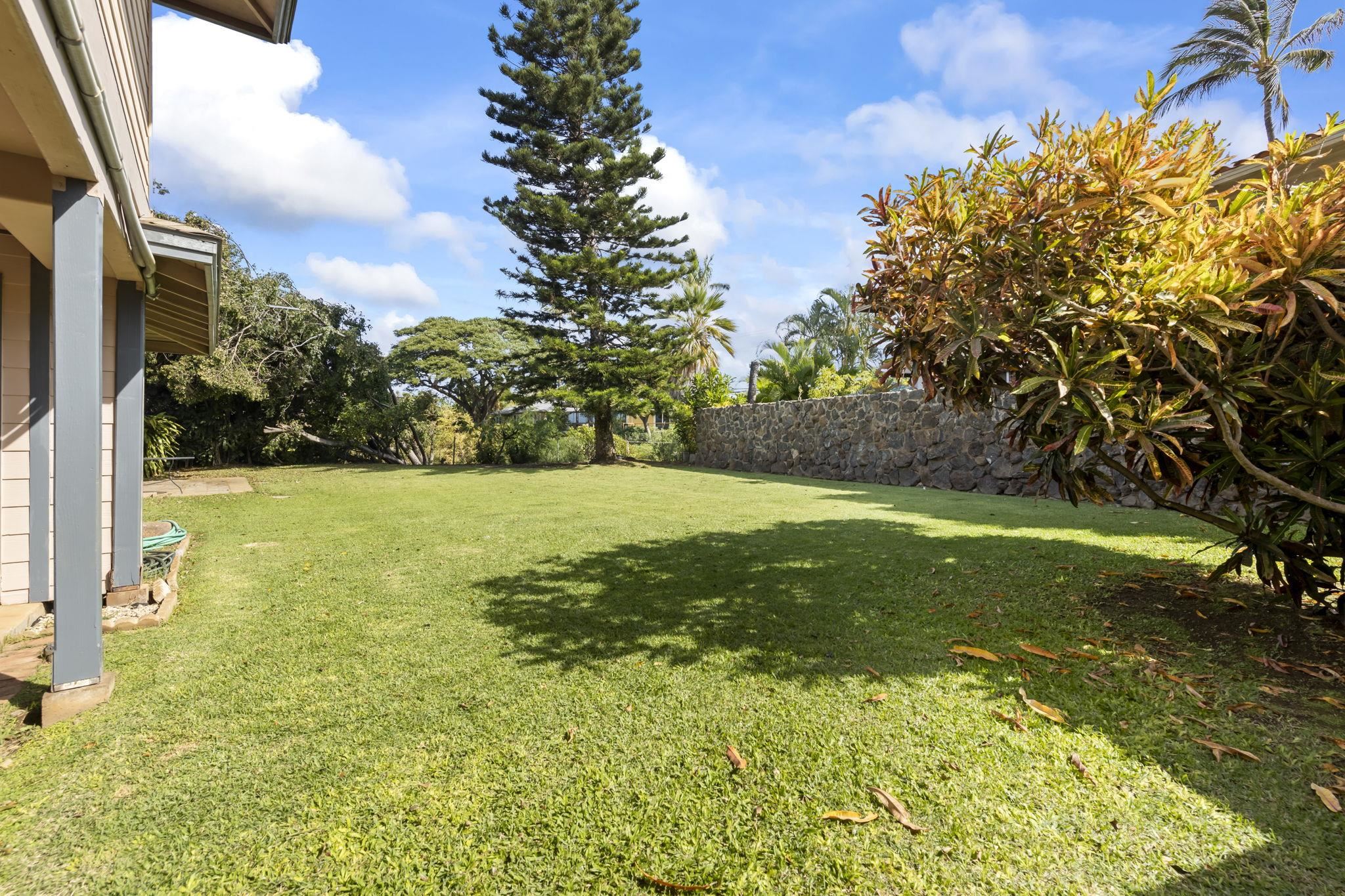 277  Keonekai Rd Keonekai, Kihei home - photo 37 of 46