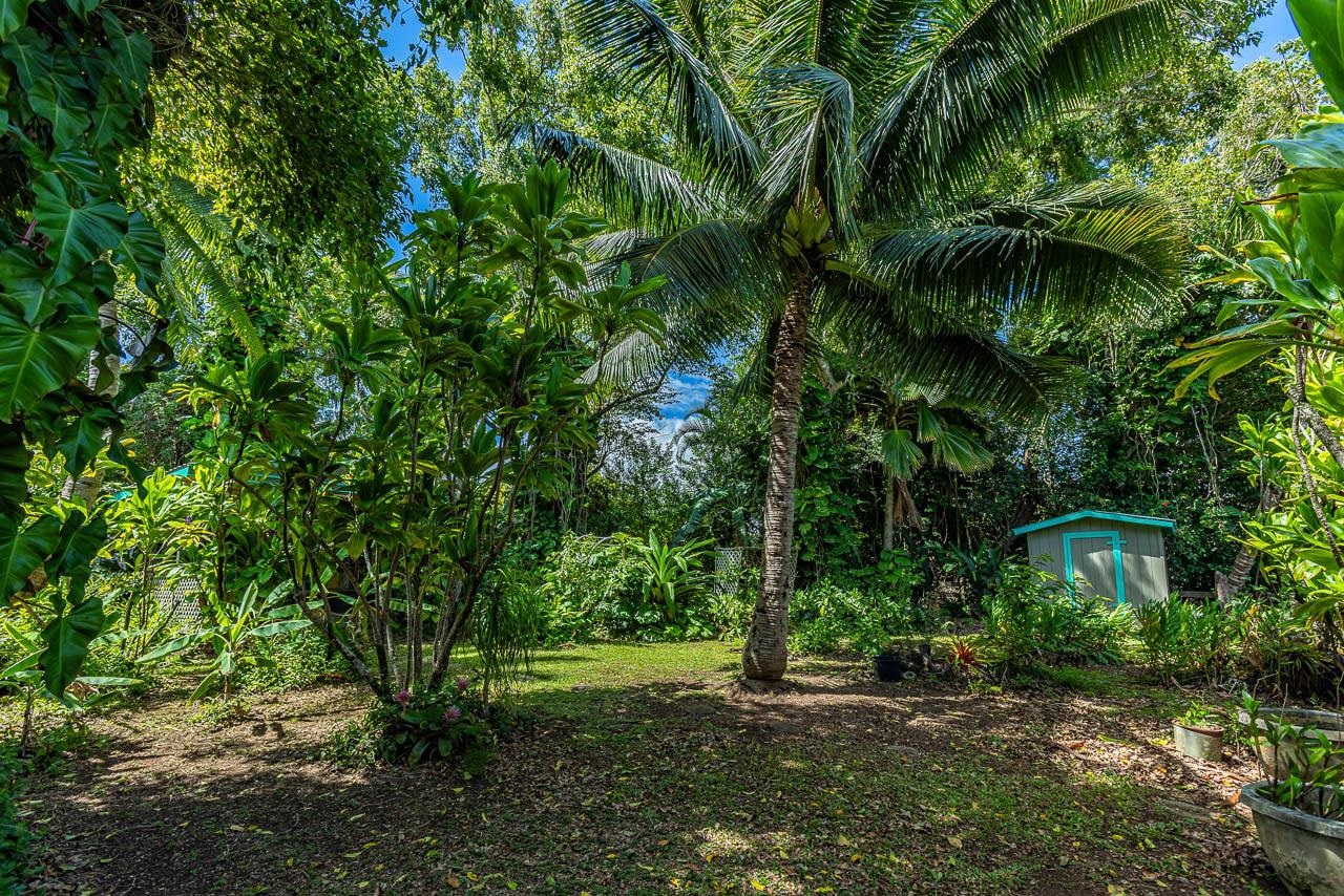 2770  Kauhikoalani Pl , Haiku home - photo 49 of 49