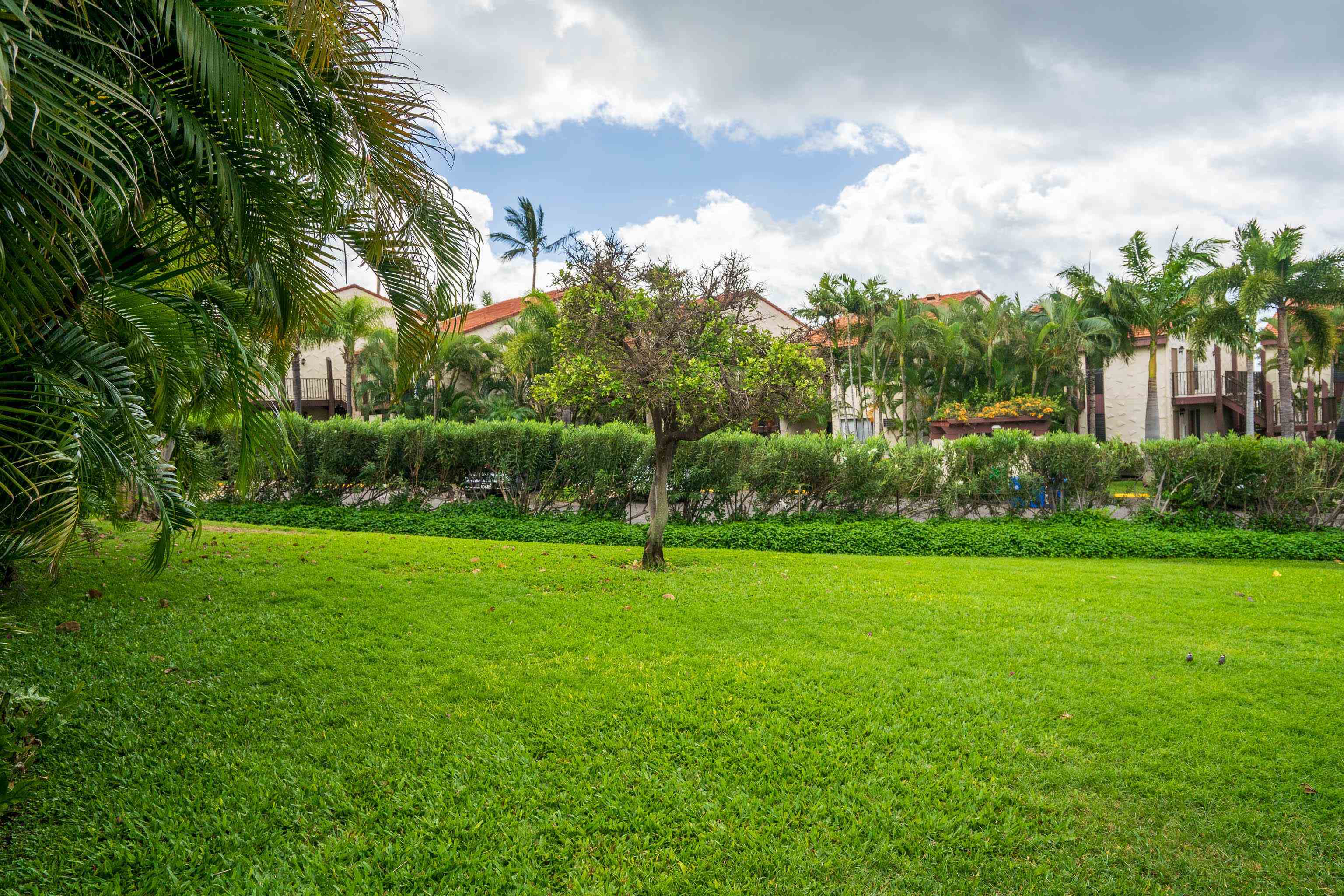 Maui Kamaole condo # B104, Kihei, Hawaii - photo 22 of 32