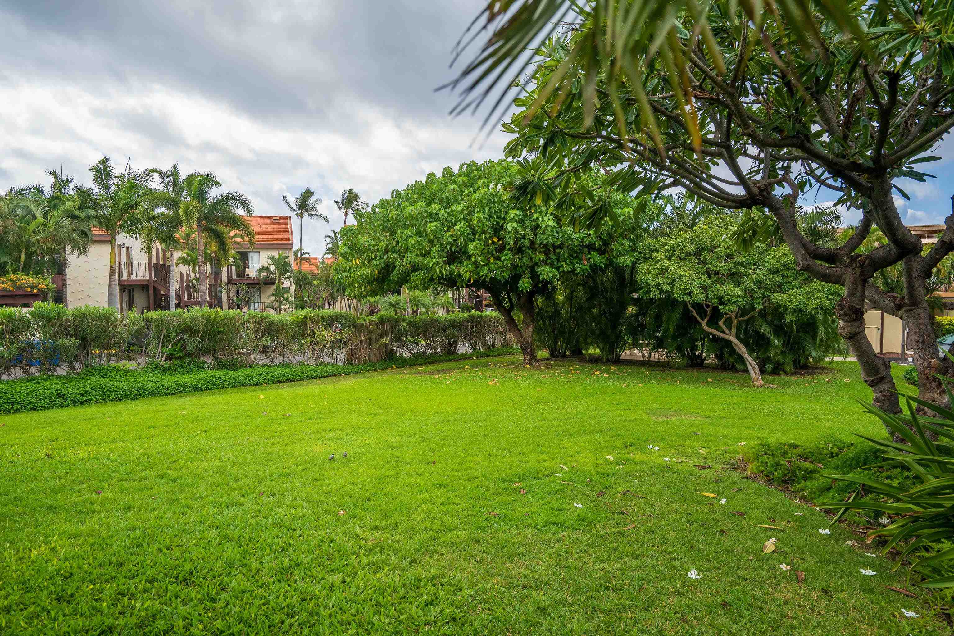 Maui Kamaole condo # B104, Kihei, Hawaii - photo 23 of 32