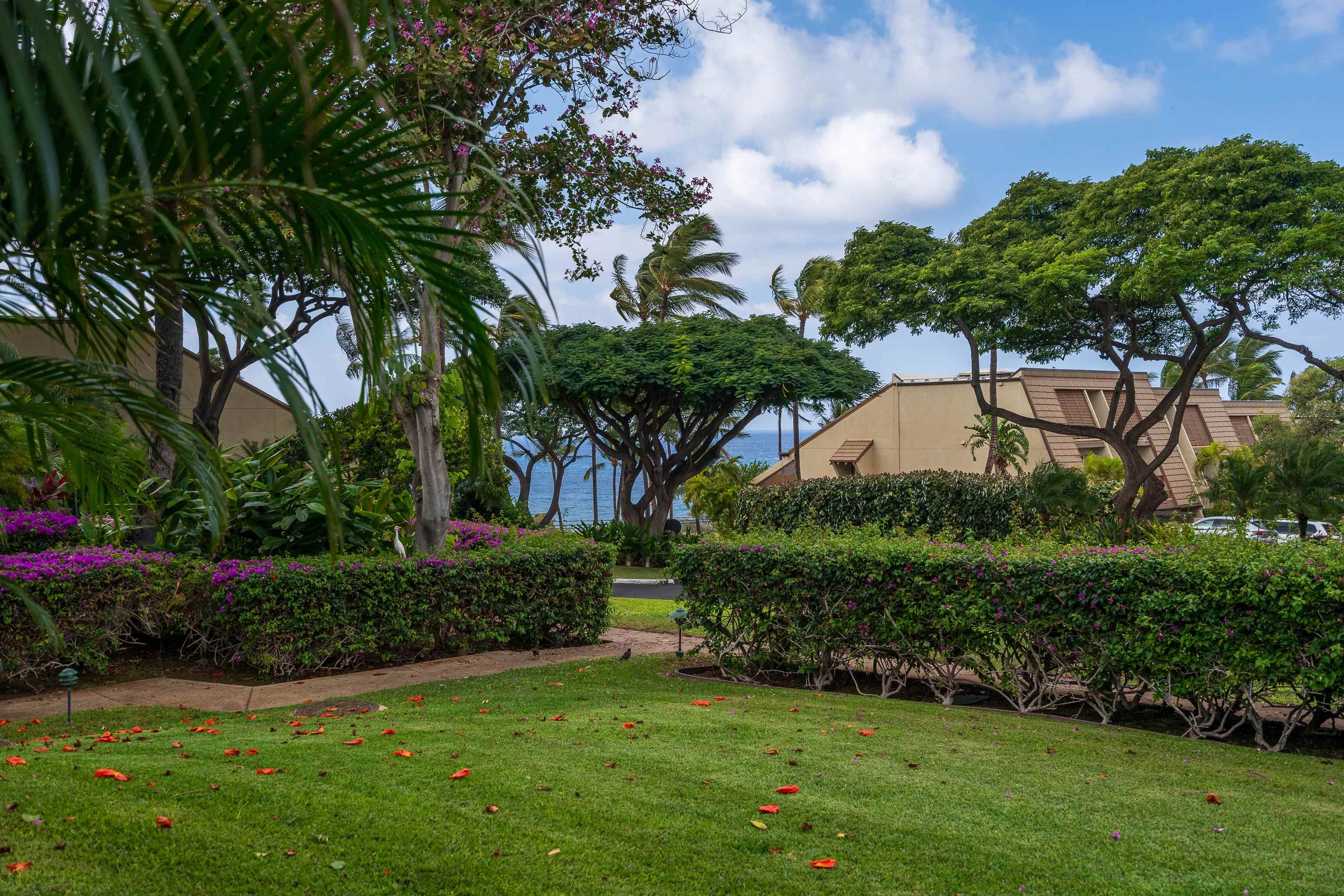 Maui Kamaole condo # B112, Kihei, Hawaii - photo 10 of 50