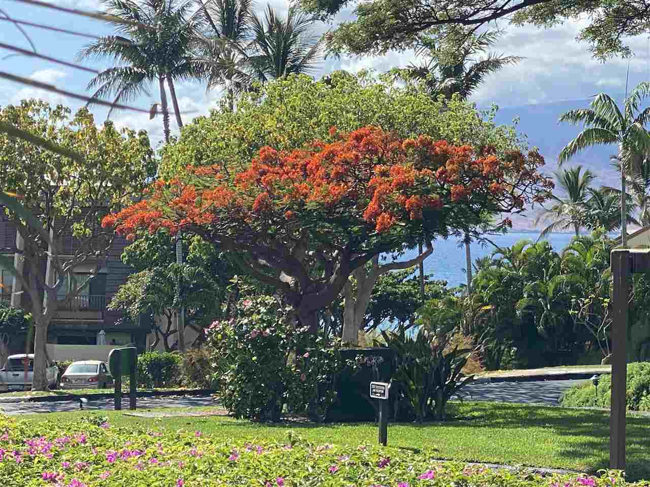 Maui Kamaole condo # B115, Kihei, Hawaii - photo 18 of 30