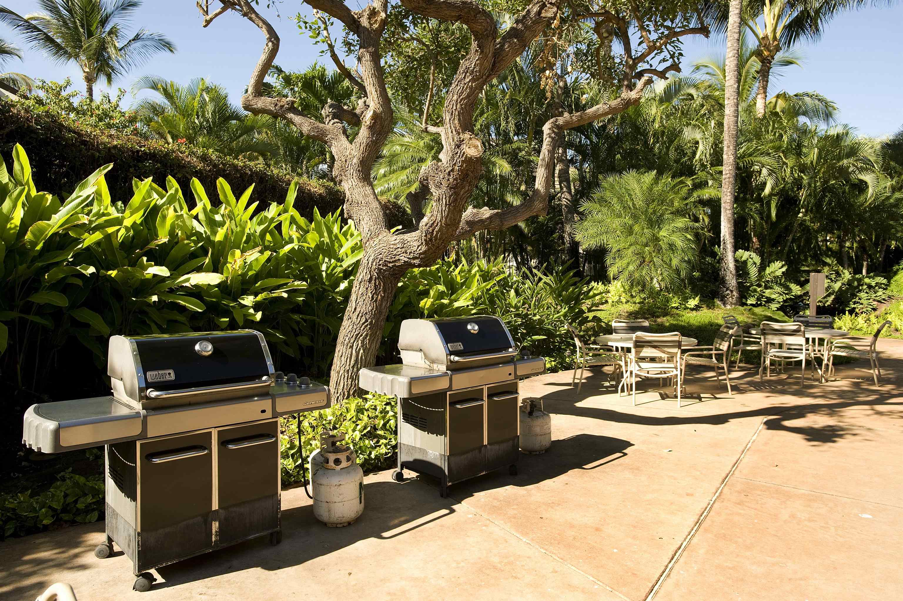 Maui Kamaole condo # C208, Kihei, Hawaii - photo 25 of 33