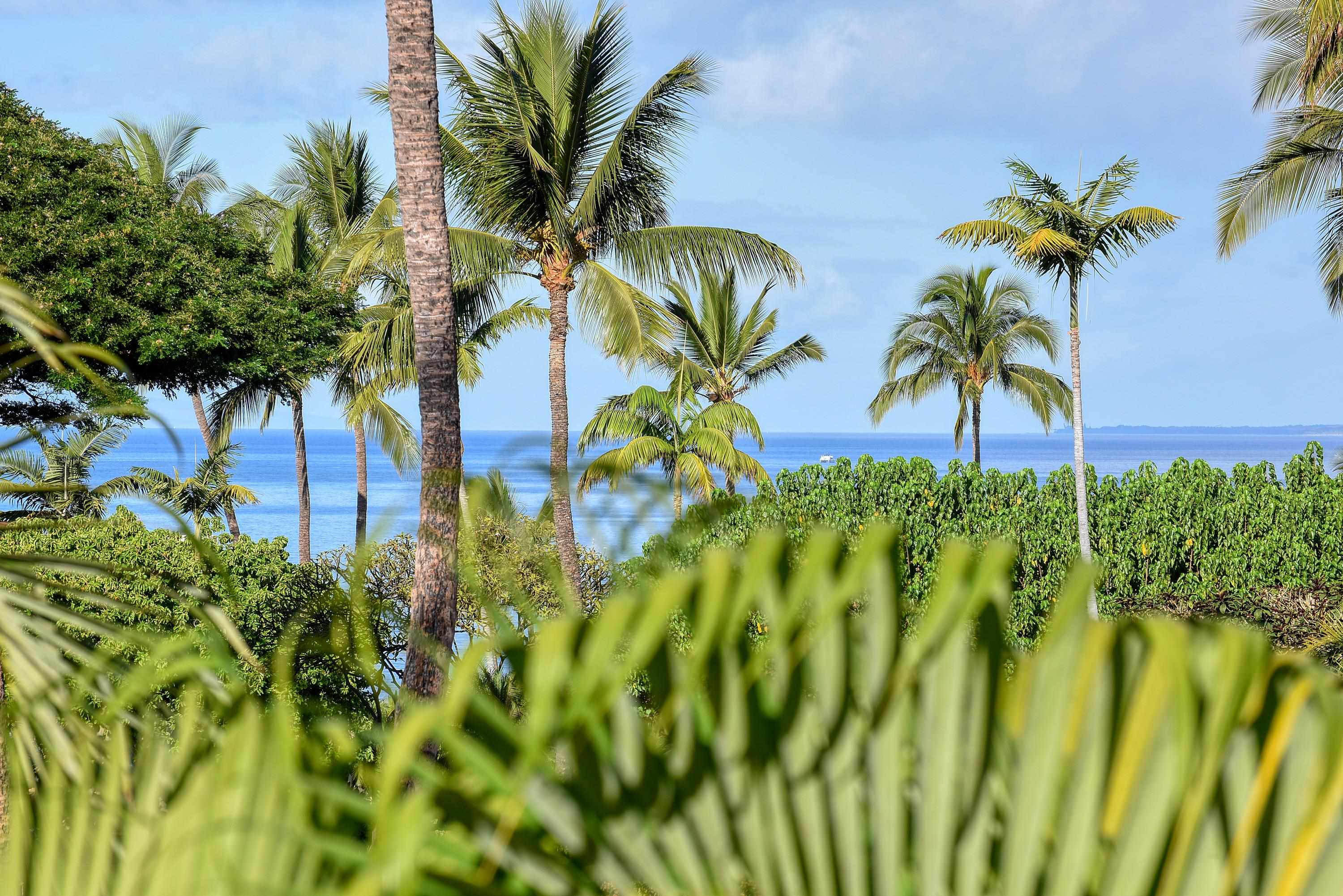 Maui Kamaole condo # C208, Kihei, Hawaii - photo 5 of 33