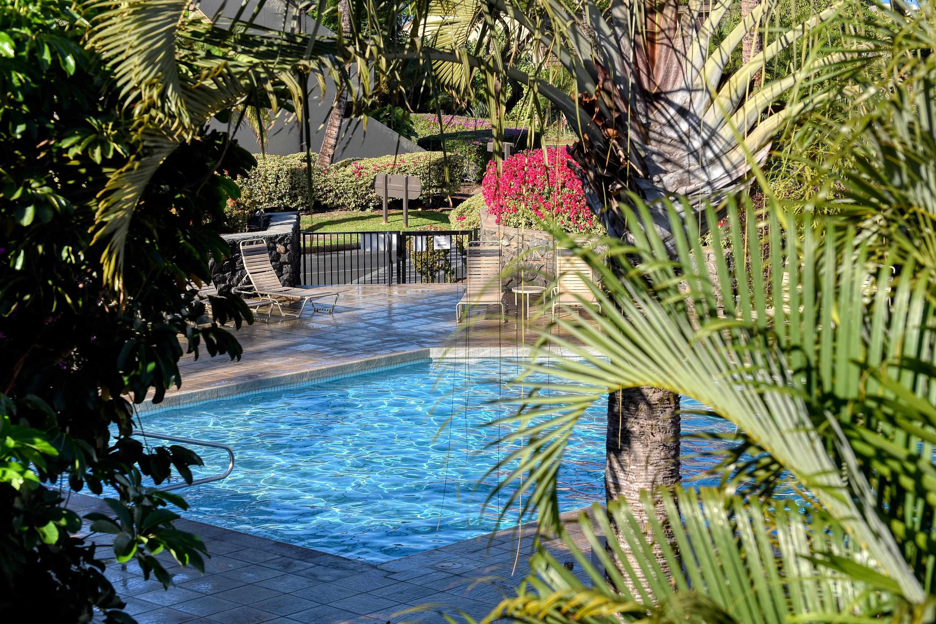 Maui Kamaole condo # C208, Kihei, Hawaii - photo 6 of 33